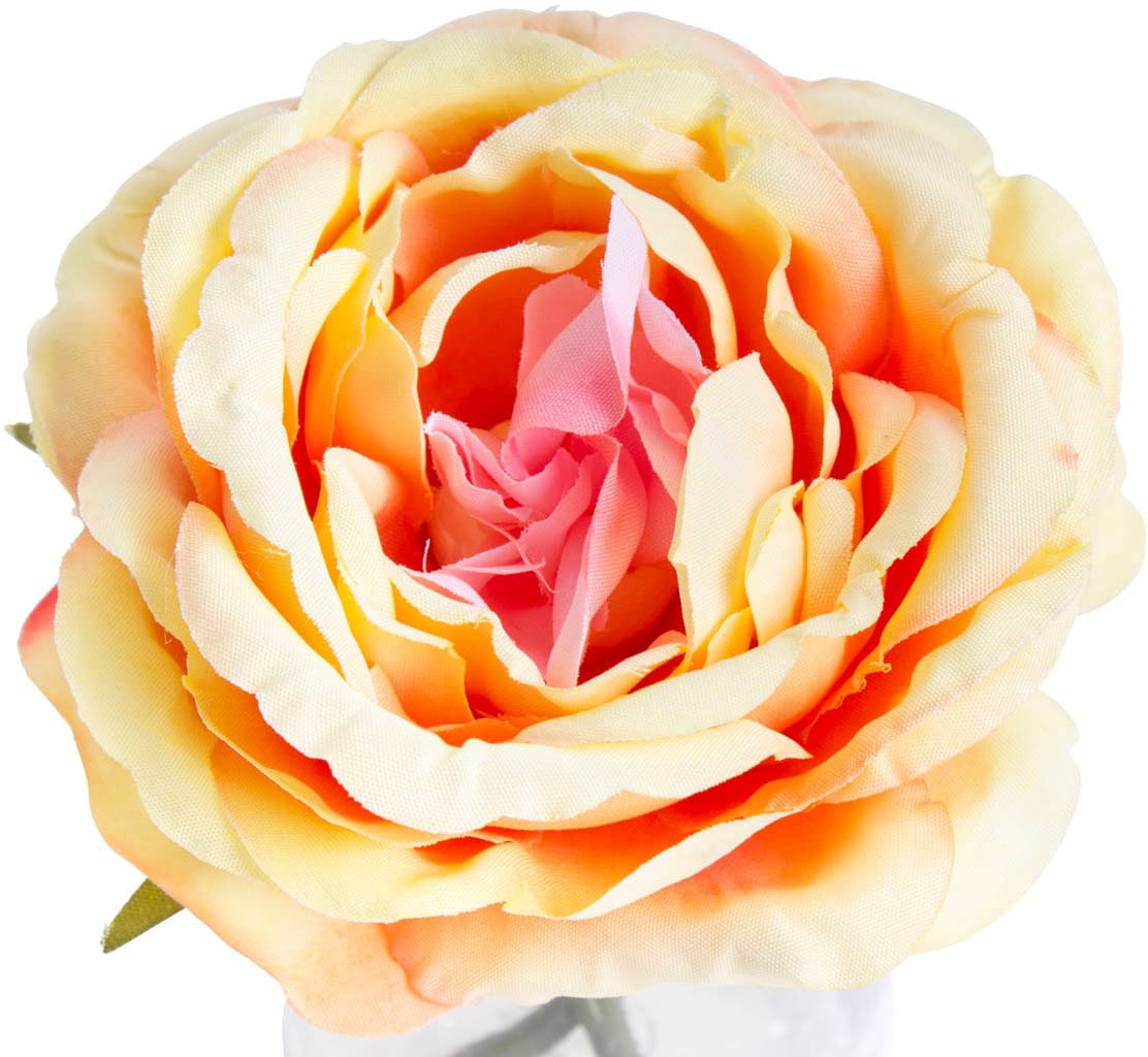 Botanic-Haus Kunstblume »Rose im Glas« bestellen Rechnung auf