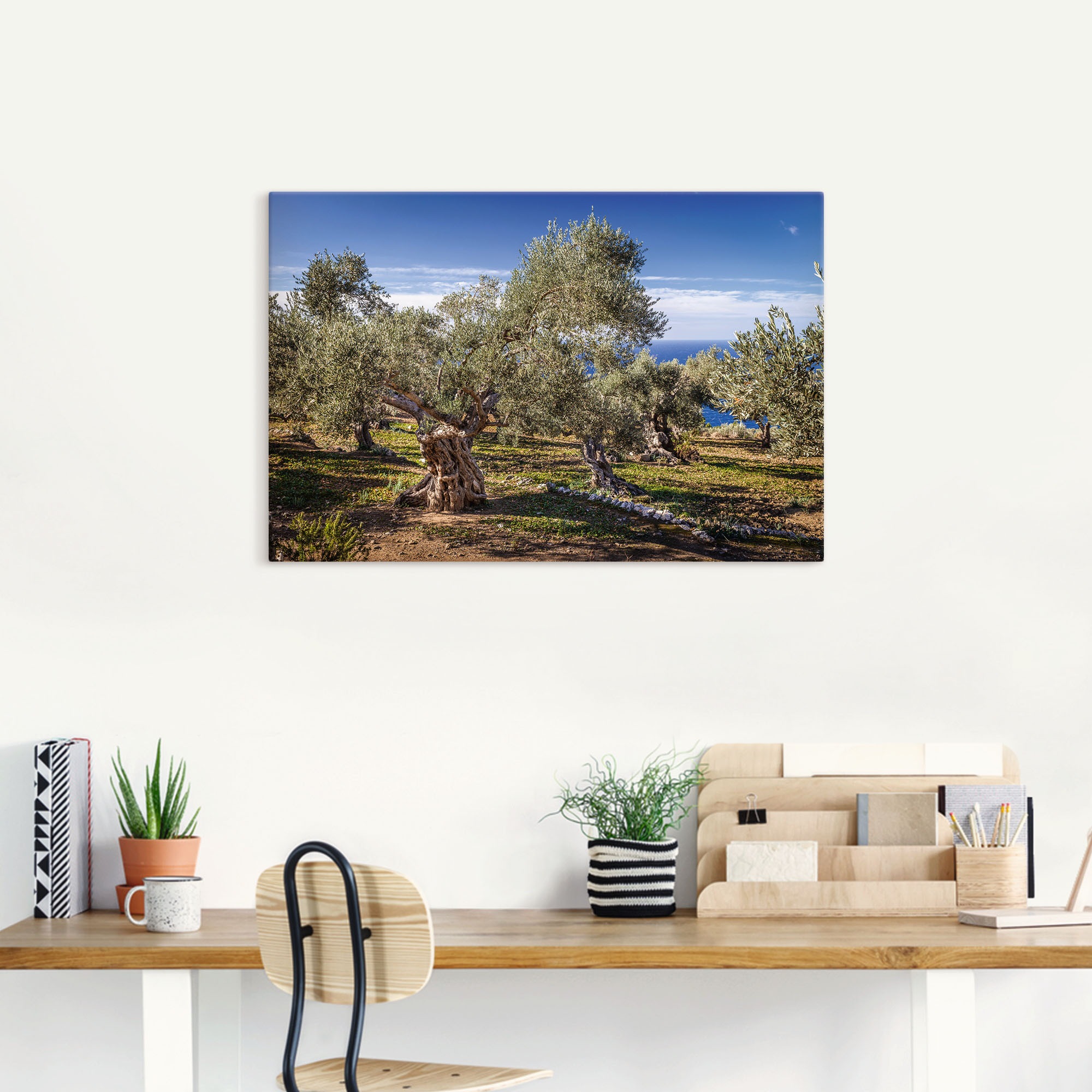 Artland Wandbild »Olivenhain in der Serra de Tramuntana«, Küstenbilder, (1 günstig online kaufen