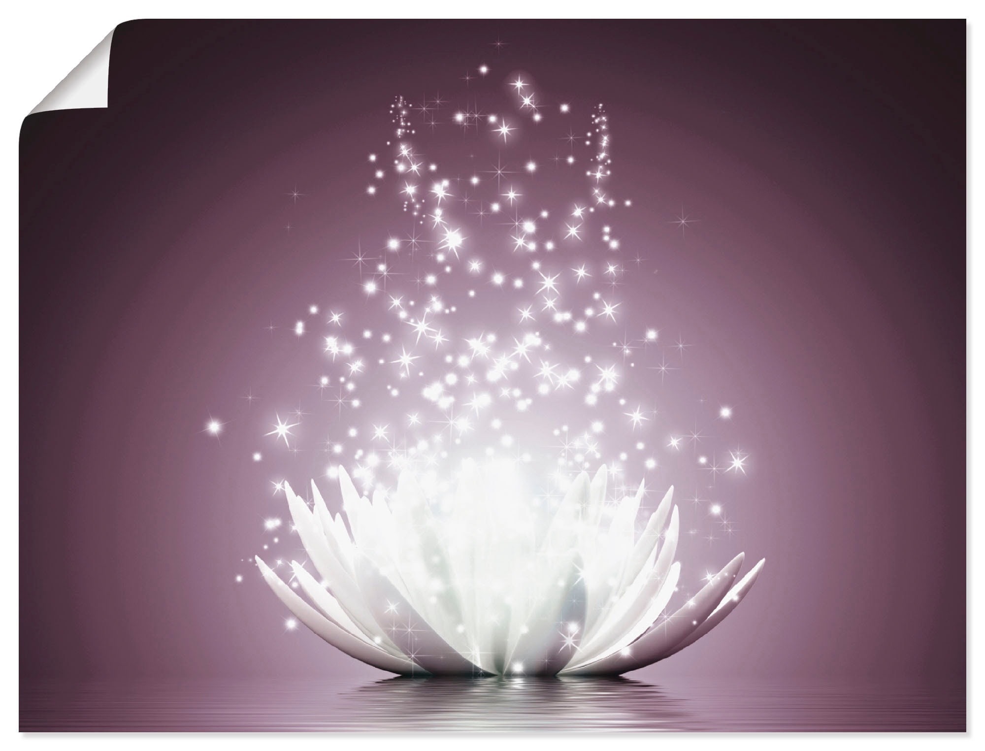 Artland Wandbild »Magie der Lotus-Blume« 1 Stk. tlg. als Leinwandbild, Post günstig online kaufen