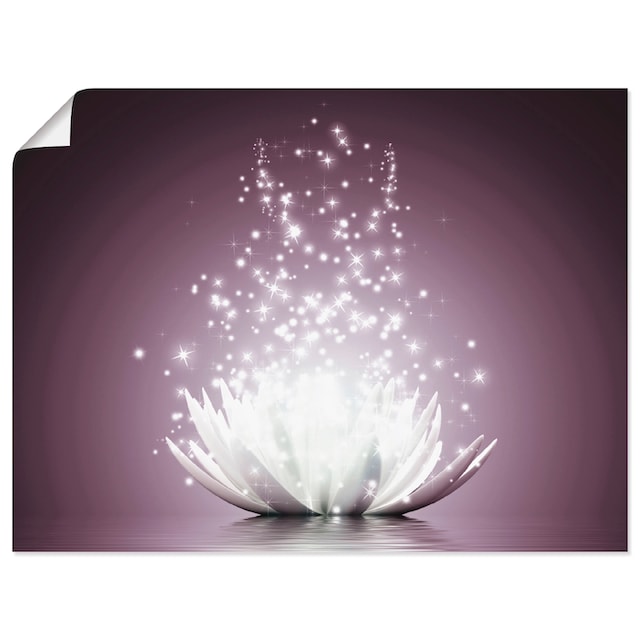 Artland Wandbild »Magie der Lotus-Blume«, Blumen, (1 St.), als  Leinwandbild, Wandaufkleber oder Poster in versch. Größen auf Rechnung  bestellen