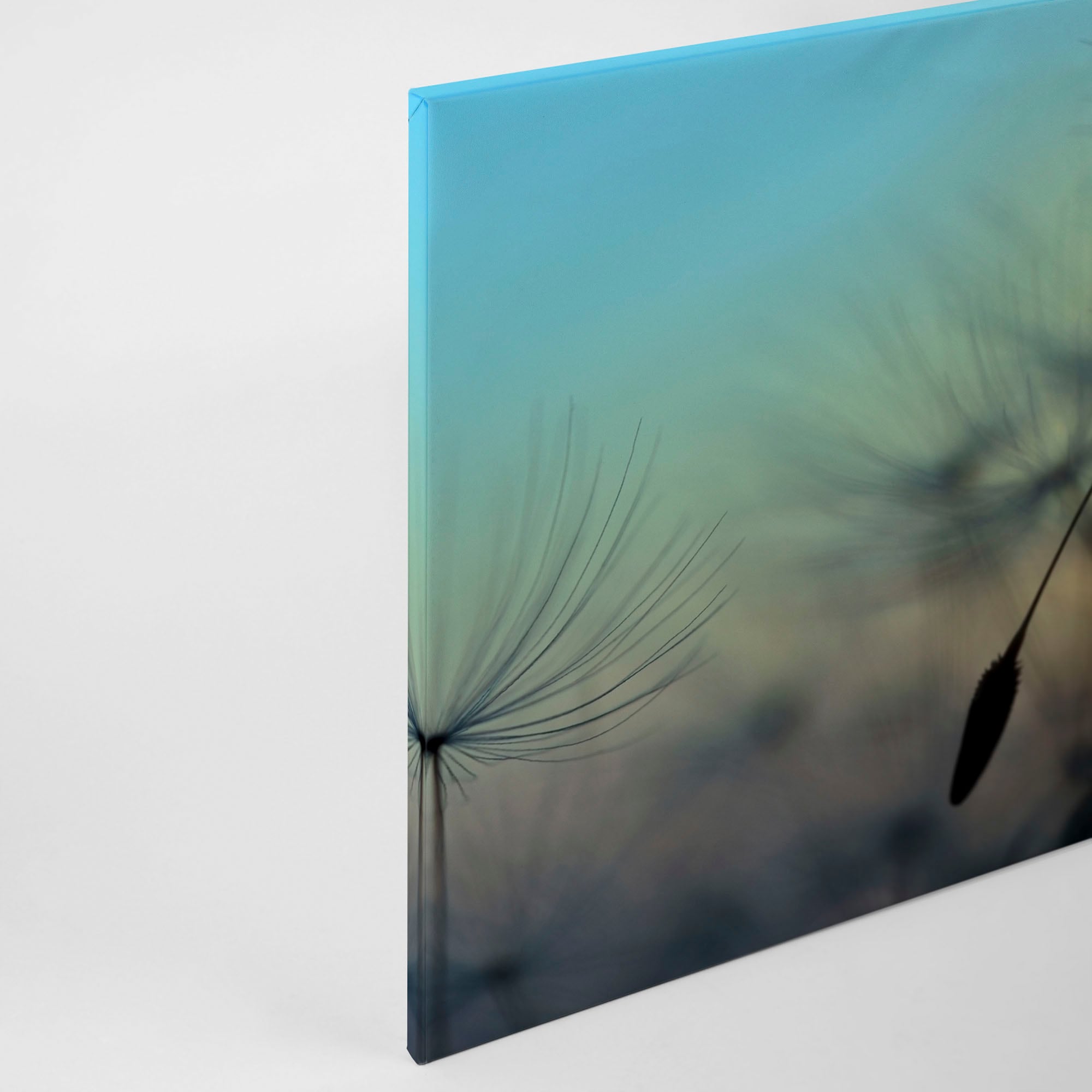A.S. Création Leinwandbild »Flying Dandelion«, Keilrahmenbild