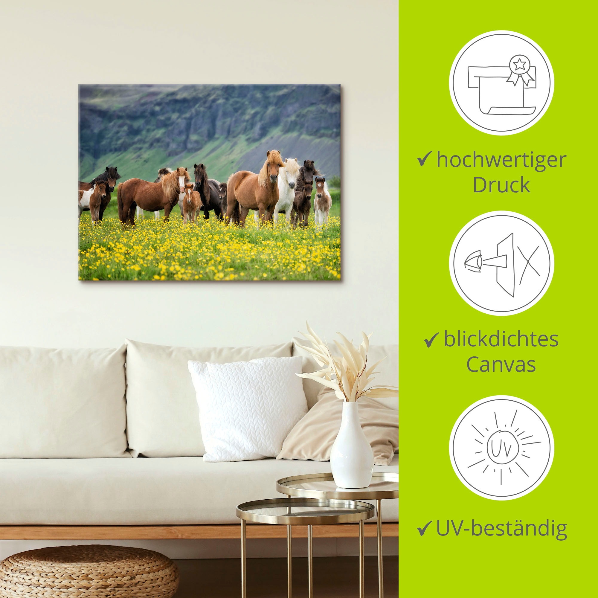 Artland Wandbild »Isländische Pferde VII«, Haustiere, (1 St.), als Leinwandbild, Poster, Wandaufkleber in verschied. Größen