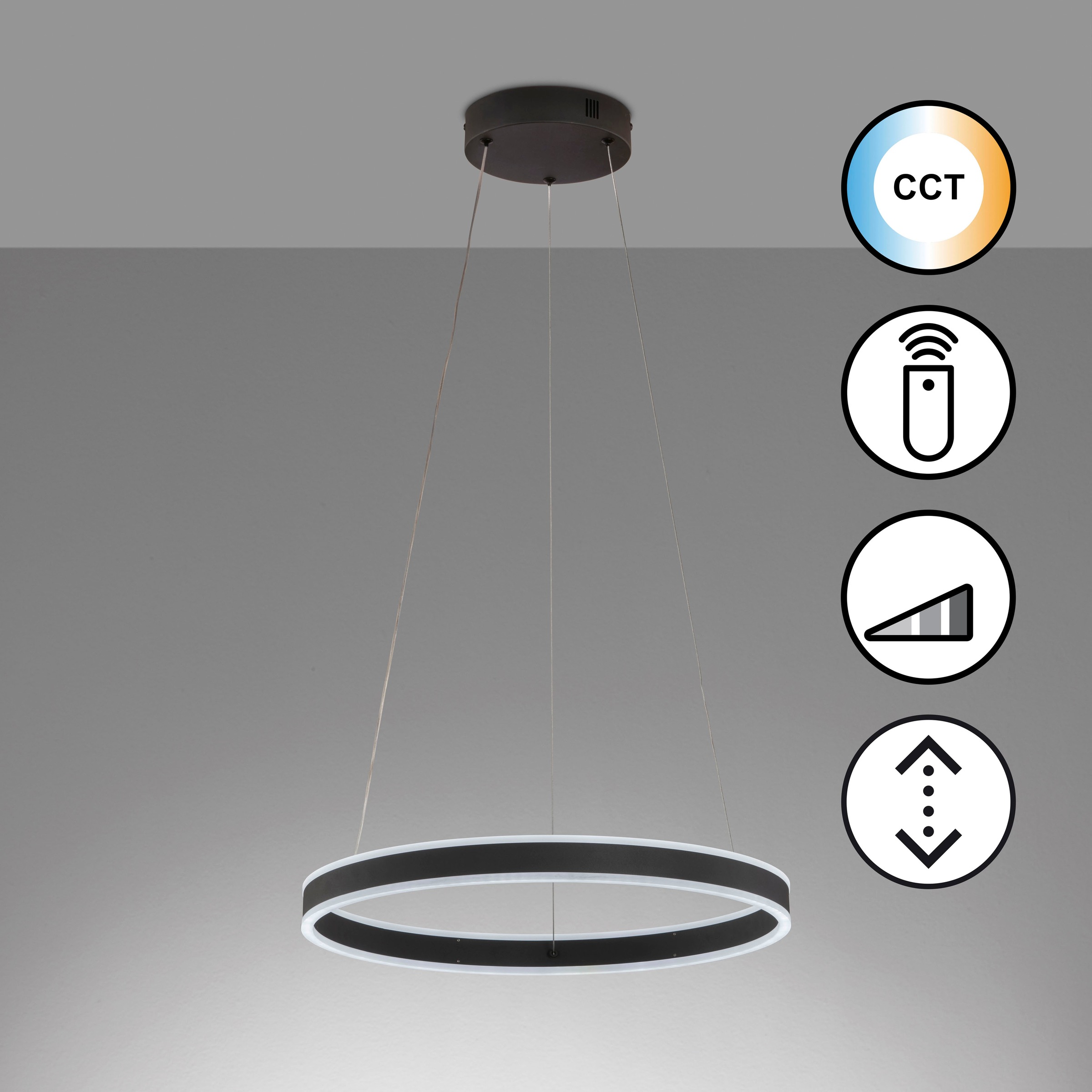 FISCHER & HONSEL Pendelleuchte »Sirko« LED-Modul 1 Stk. langlebige LED, dim günstig online kaufen