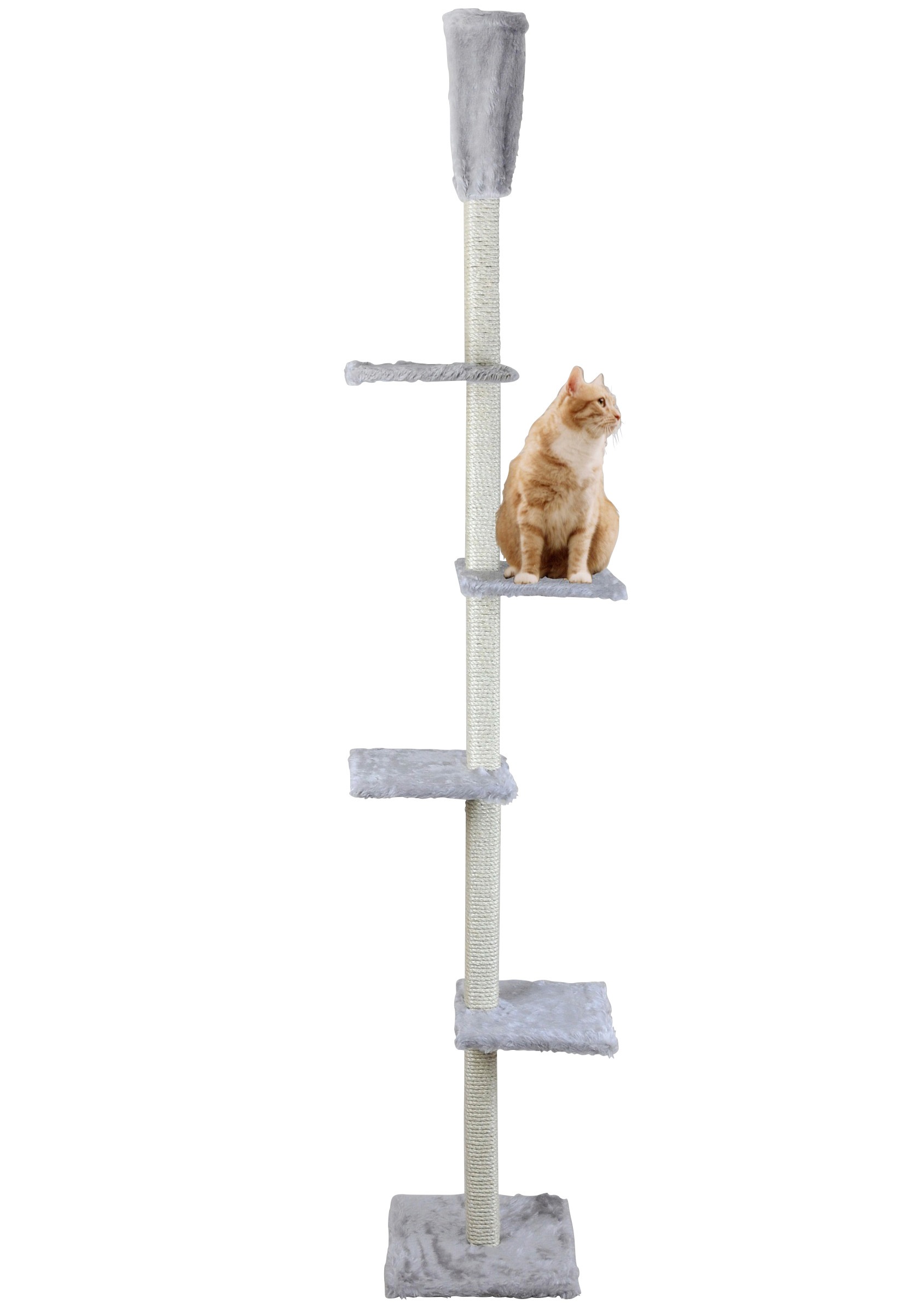 Bild von SILVIO design Kratzbaum »Superior«, hoch, BxTxH: 50x36x230-260 cm