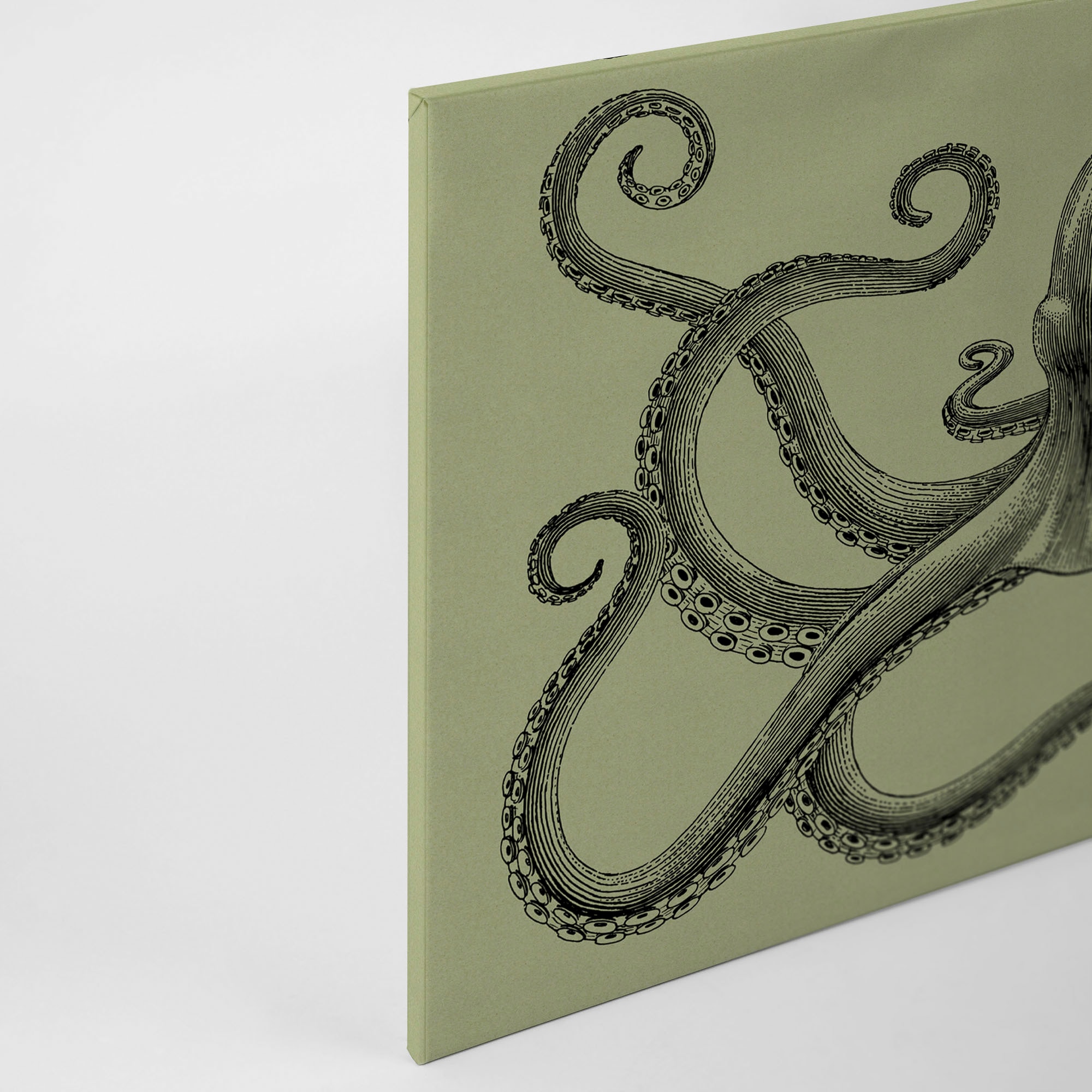 A.S. Création Leinwandbild »jules 3«, Kunst-Tiere-Kinder, (1 St.), Keilrahmen Octopus Krake Grün Schwarz Leinwand-Bild Wohnzimmer modern