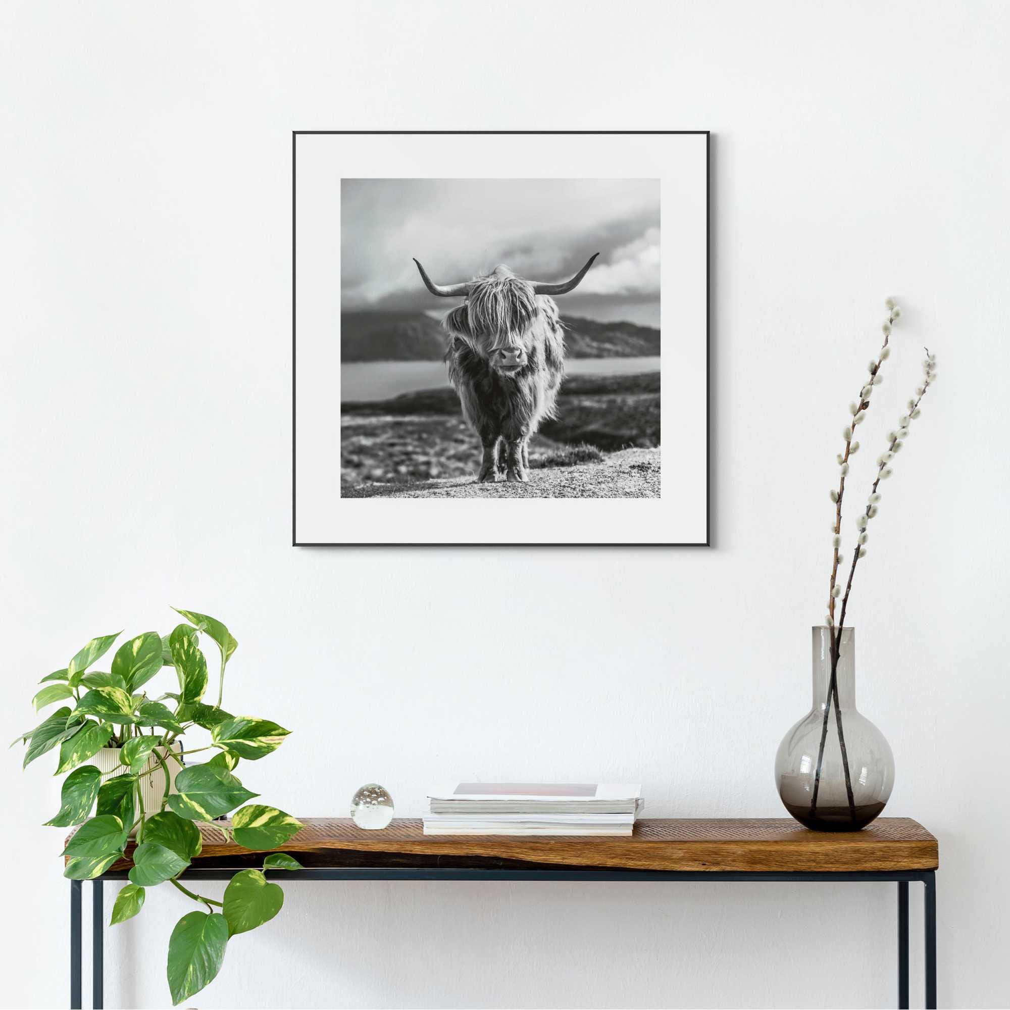 Reinders! Wandbild »Slim Frame Black 50x50 Highland Cow« auf Raten kaufen