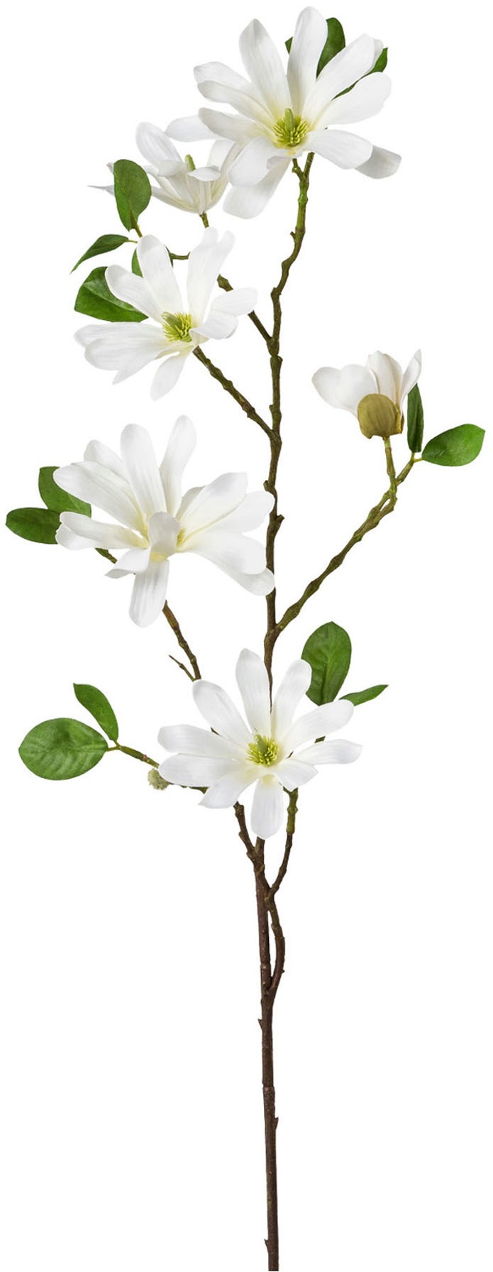 Creativ green Kunstblume »Sternmagnolie«, mit großen Blüten