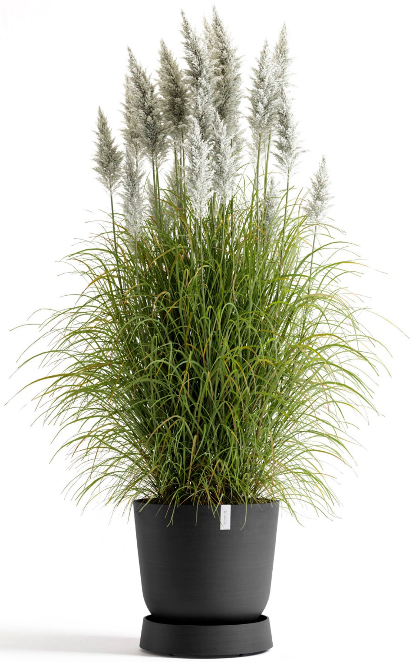 ECOPOTS Topfuntersetzer »mit Rollen Oslo 45 Dunkelgrau«, für innen und außen: frostsicher, bruchsicher und lichtbeständig