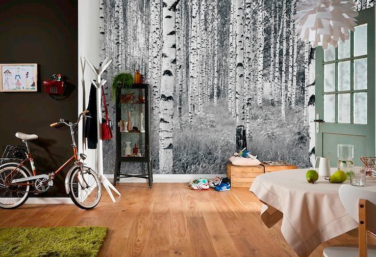 Komar Vliestapete »Vlies  - Woods - Größe 368 x 248 cm« bedruckt glatt Wohnzimmer, Schlafzimmer