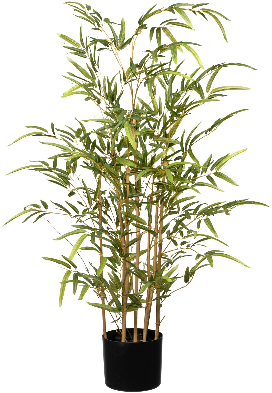 Kunstbaum Rechnung bestellen green Creativ auf »Bambus«