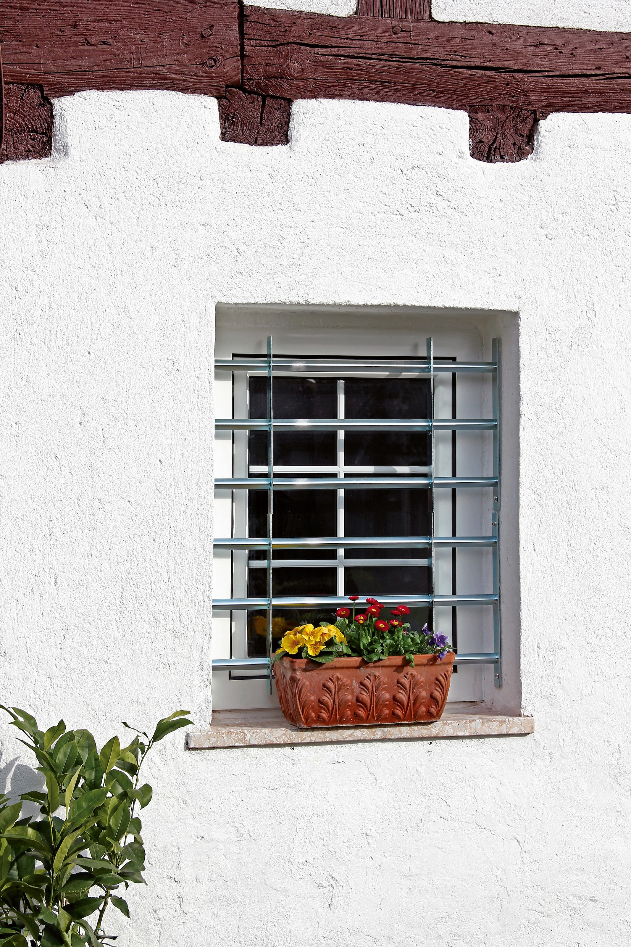 Alberts Fensterschutzgitter »Secorino Basic« Breite: 50 - 65 cm und 70 - 105 cm, Höhe: 30 und 45 cm