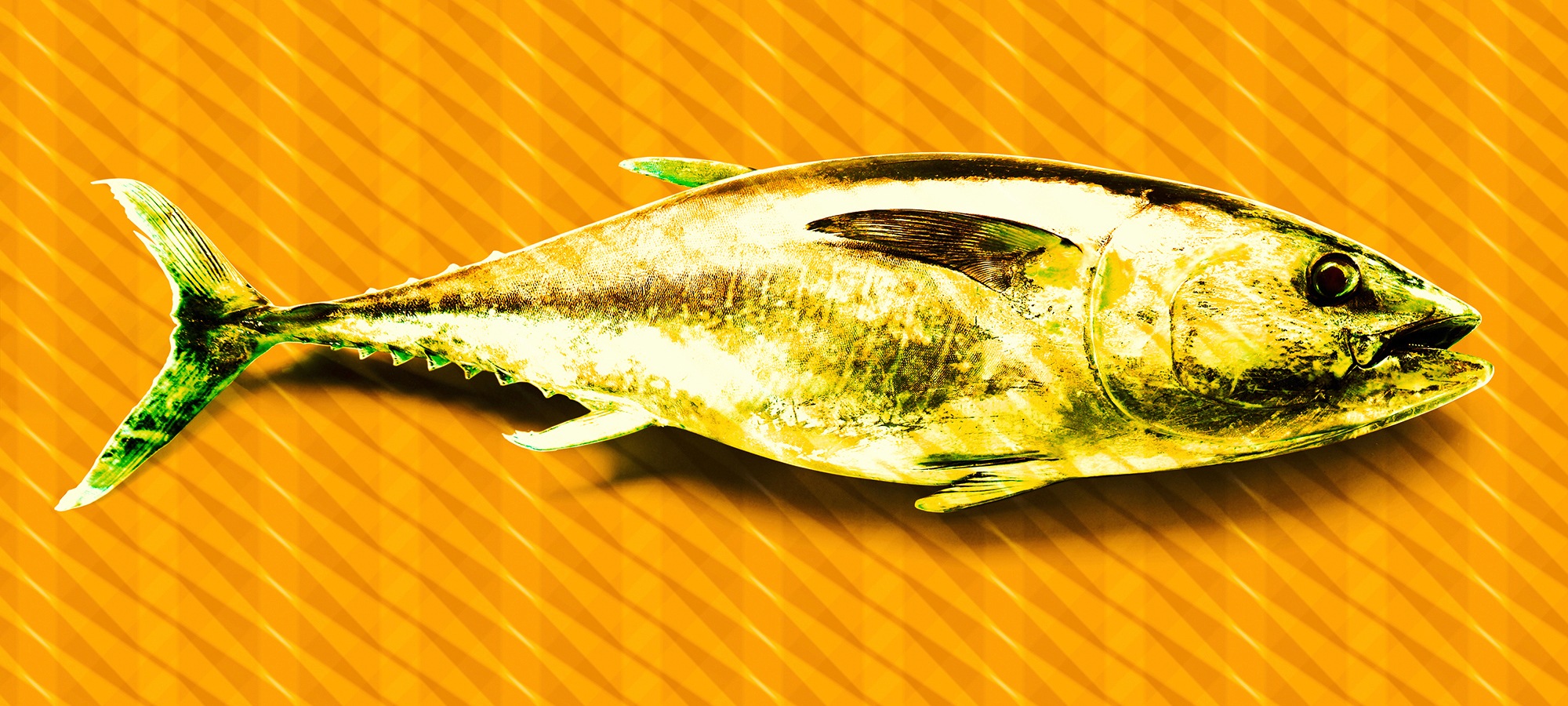 Architects Paper Fototapete »Atelier 47 Tuna Graphic 2« abstrakt glatt Vlie günstig online kaufen