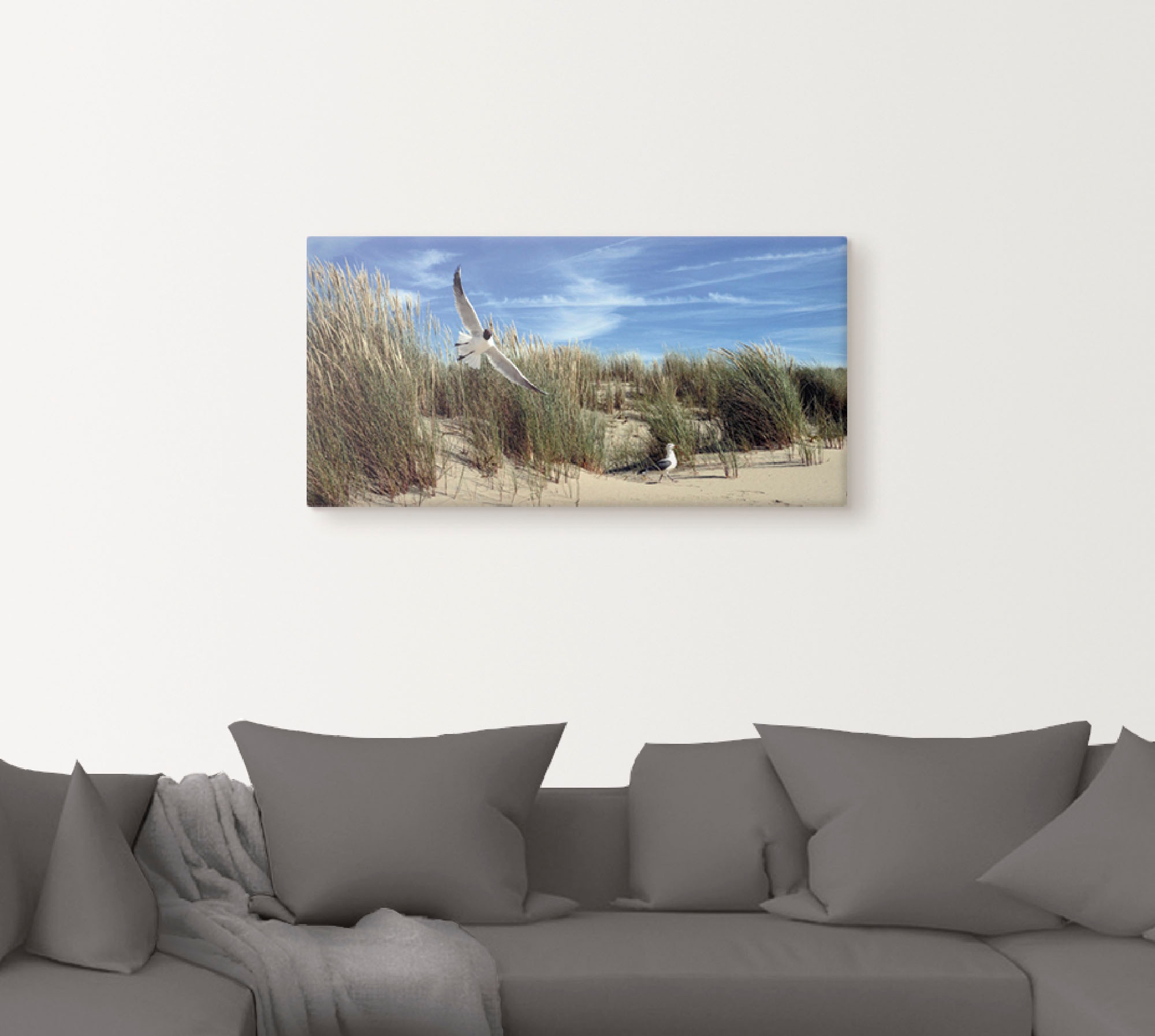 Artland Leinwandbild »Möwe und Seeschwalbe in Dünenlandschaft« Vögel 1 Stk. günstig online kaufen