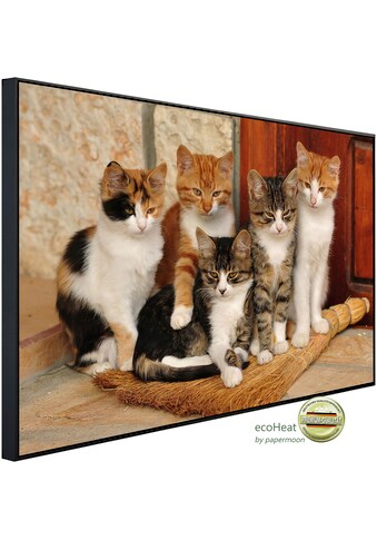 Papermoon Infrarotheizung »Süße katzen«, sehr angenehme Strahlungswärme kaufen