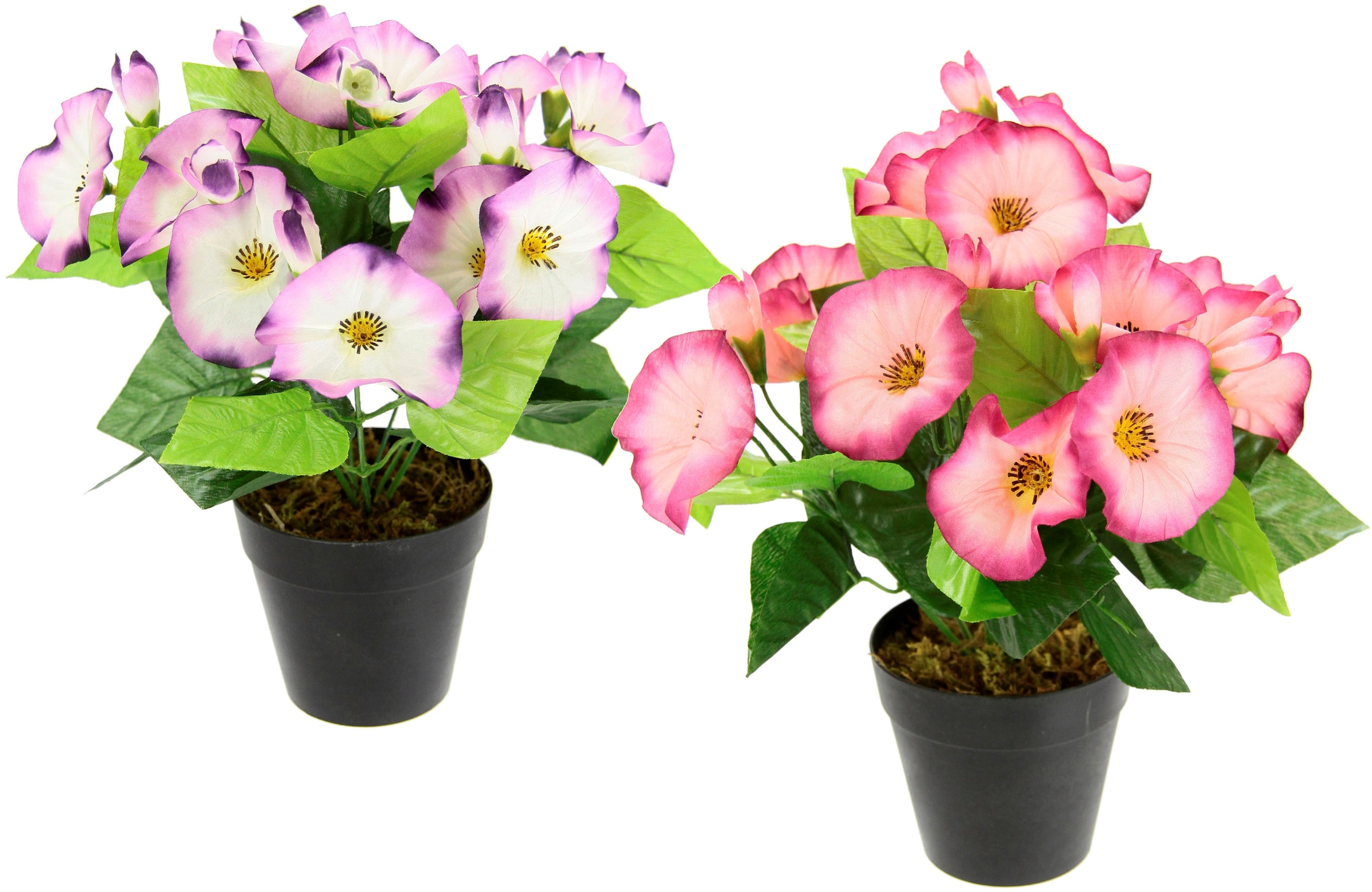 Kunstblume »Petunien«, Im Topf, 2er Set Petunien Zierpflanze Glockenblume klein Blumen...