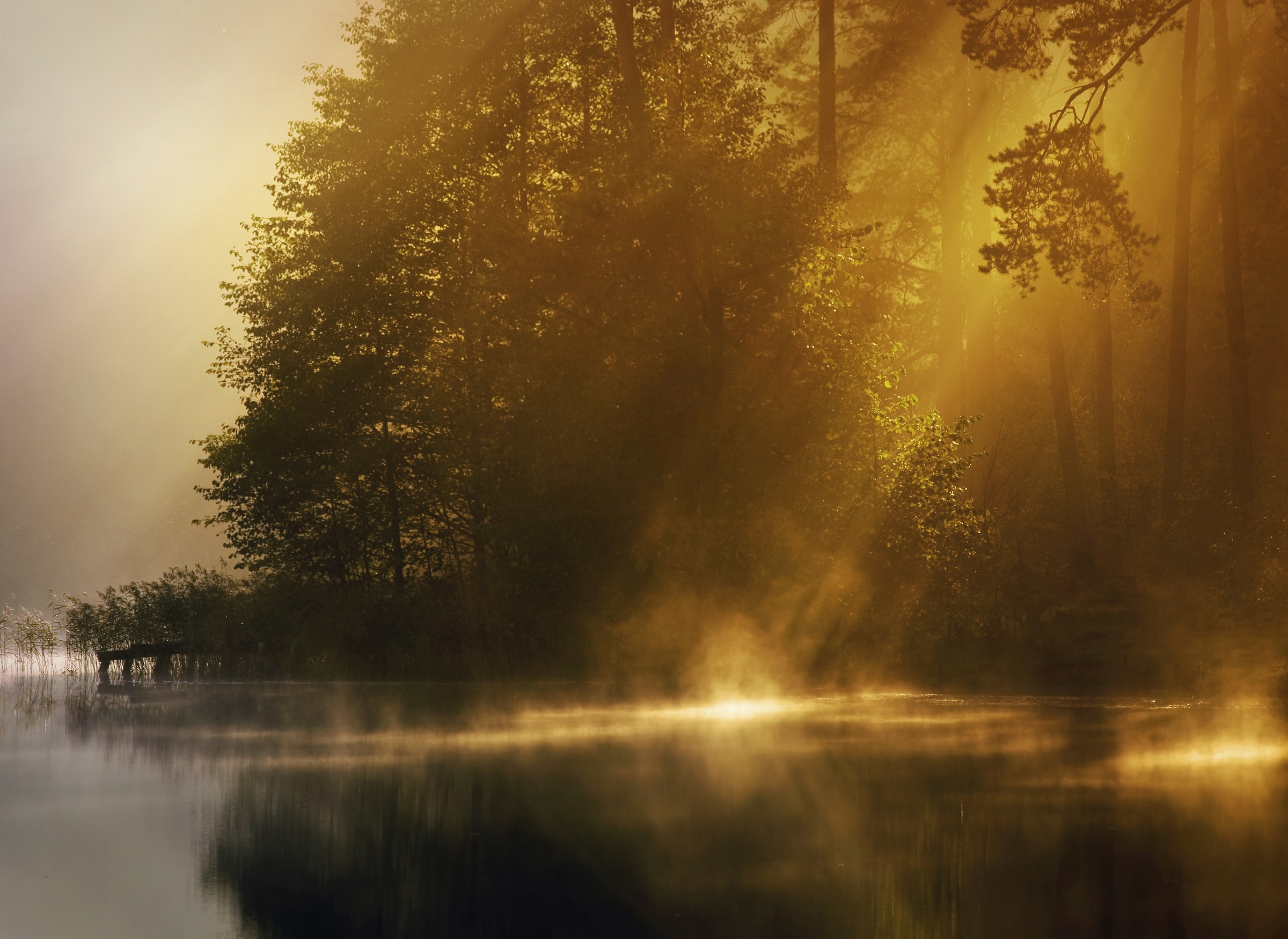 Papermoon Fototapete »Misty Early Morning« günstig online kaufen