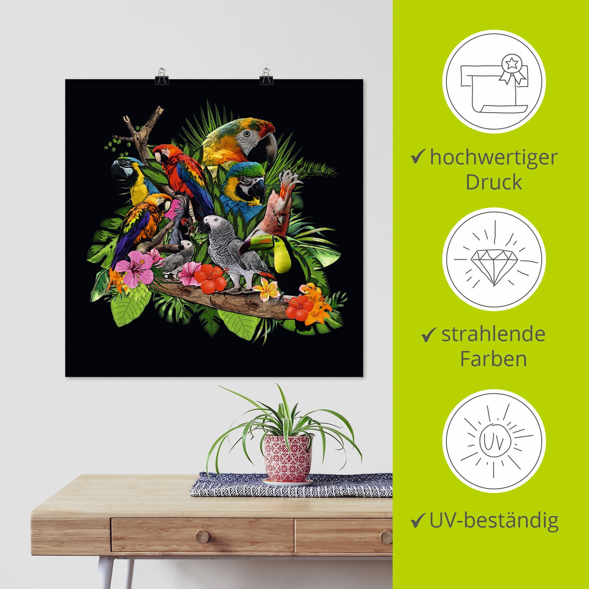 Artland Wandbild »Papageien Graupapagei Kakadu Dschungel«, Vögel, (1 St.), als Alubild, Outdoorbild, Leinwandbild, Poster, Wandaufkleber