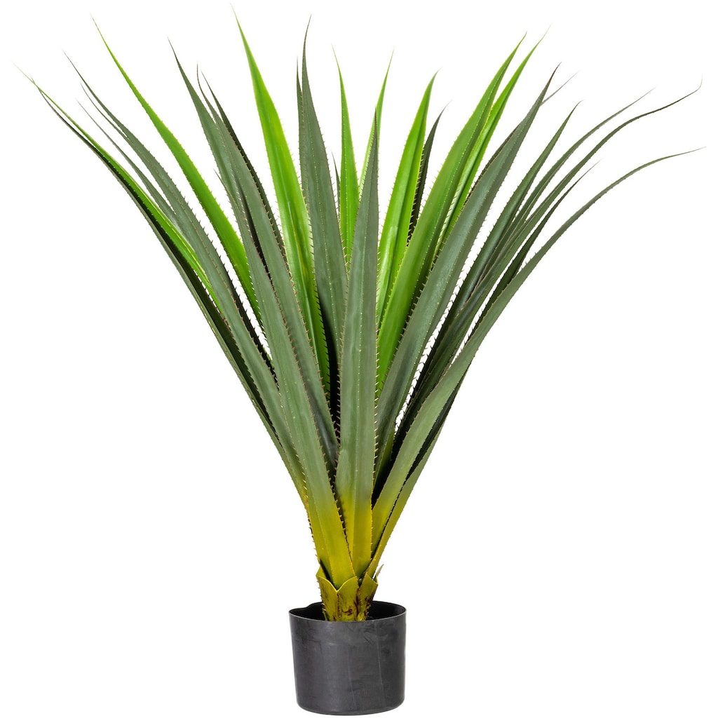 Creativ green Künstliche Zimmerpflanze »Aloe«, (1 St.)