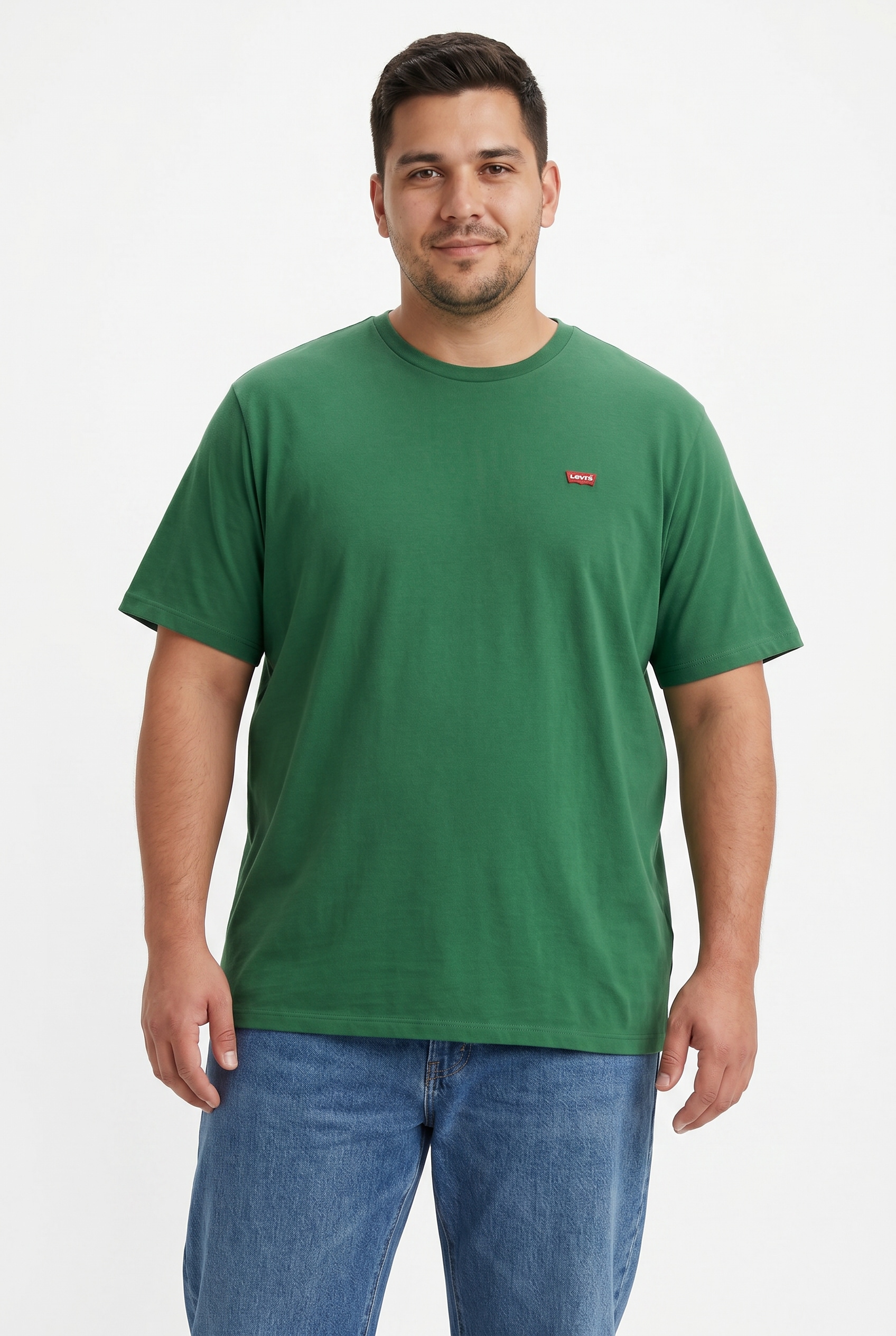 Levi's® Plus T-Shirt »LE BIG ORIGINAL HM TEE« mit Logo Stickerei