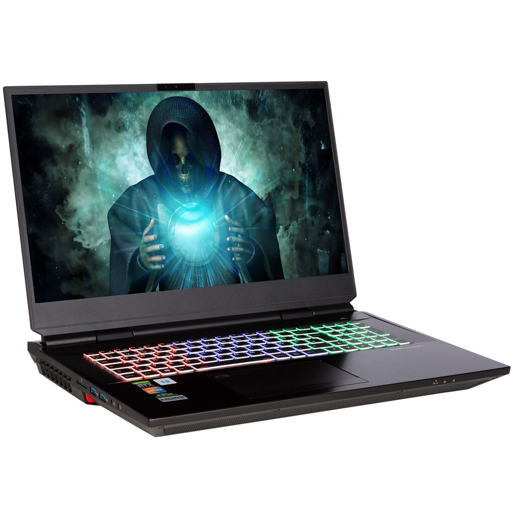 CAPTIVA Gaming-Notebook »Advanced Gaming I61-964«, 43,9 cm, / 17,3 Zoll, Intel, Core i7, GeForce RTX 3070, 2000 GB SSD