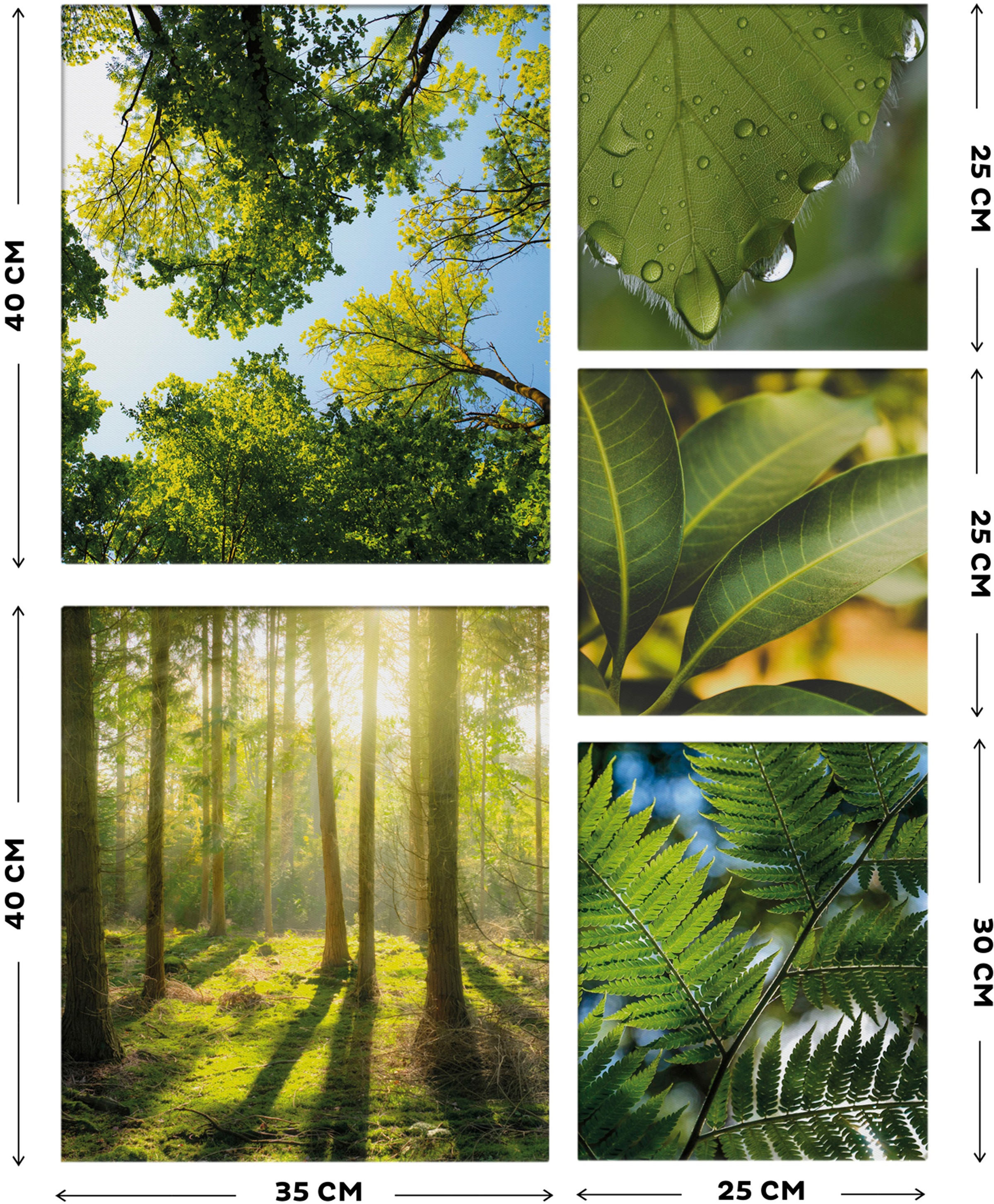 Art for the home Leinwandbild »Pure Natur«, Landschaft, (Set)