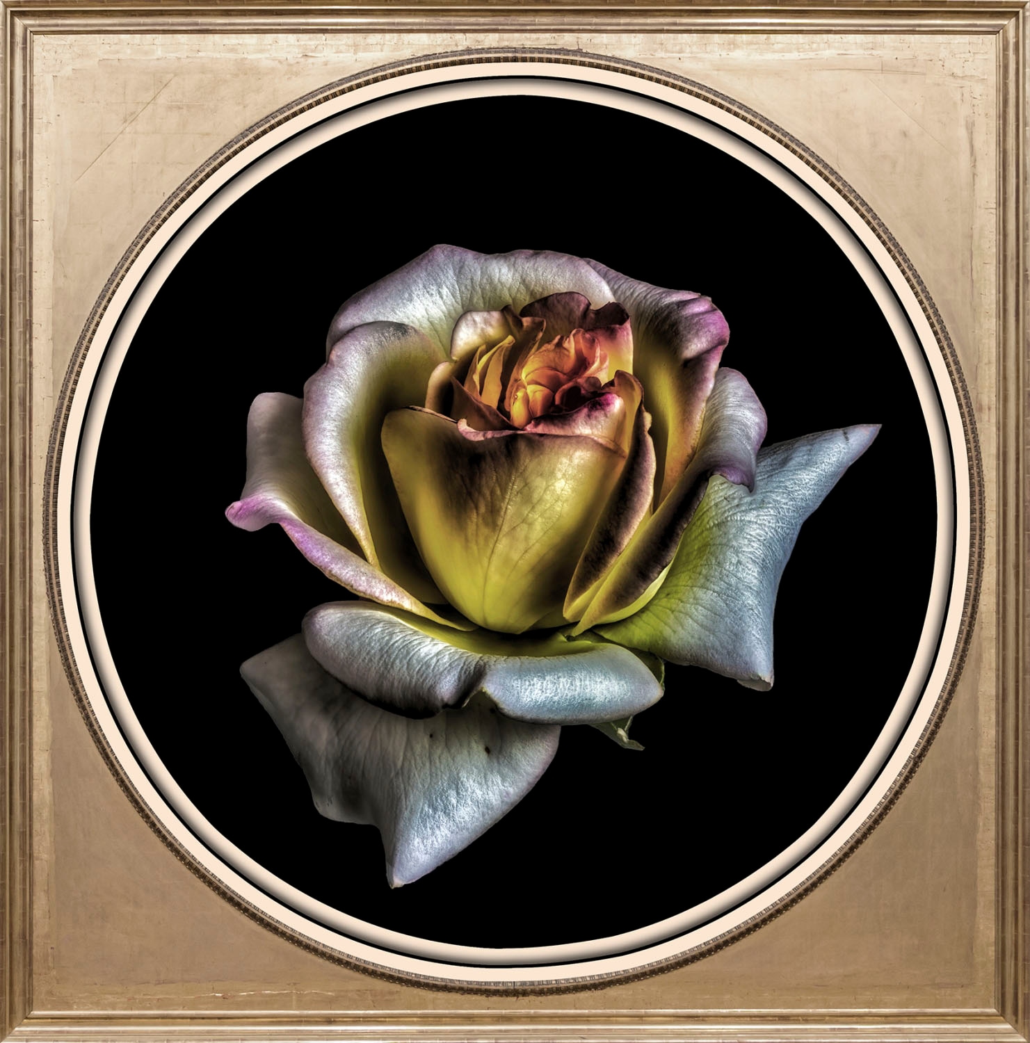 queence Acrylglasbild »Blume«, Blumen-Blumenbilder-Kunst-Pflanzen-Pflanzenb günstig online kaufen