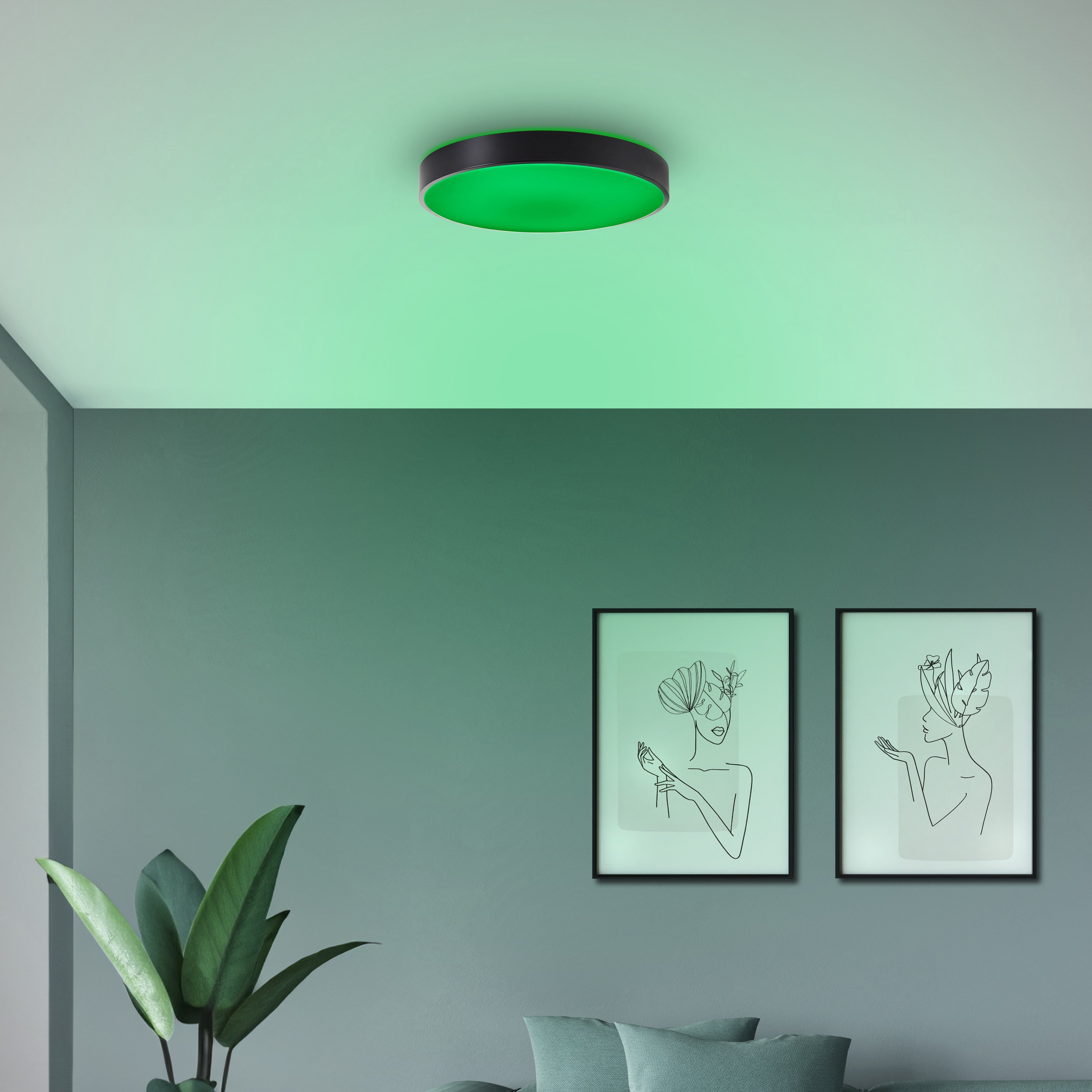 Brilliant LED Deckenleuchte »Vadin«, Smart Home Leuchte, Ø 49 cm, 3000-6500 günstig online kaufen