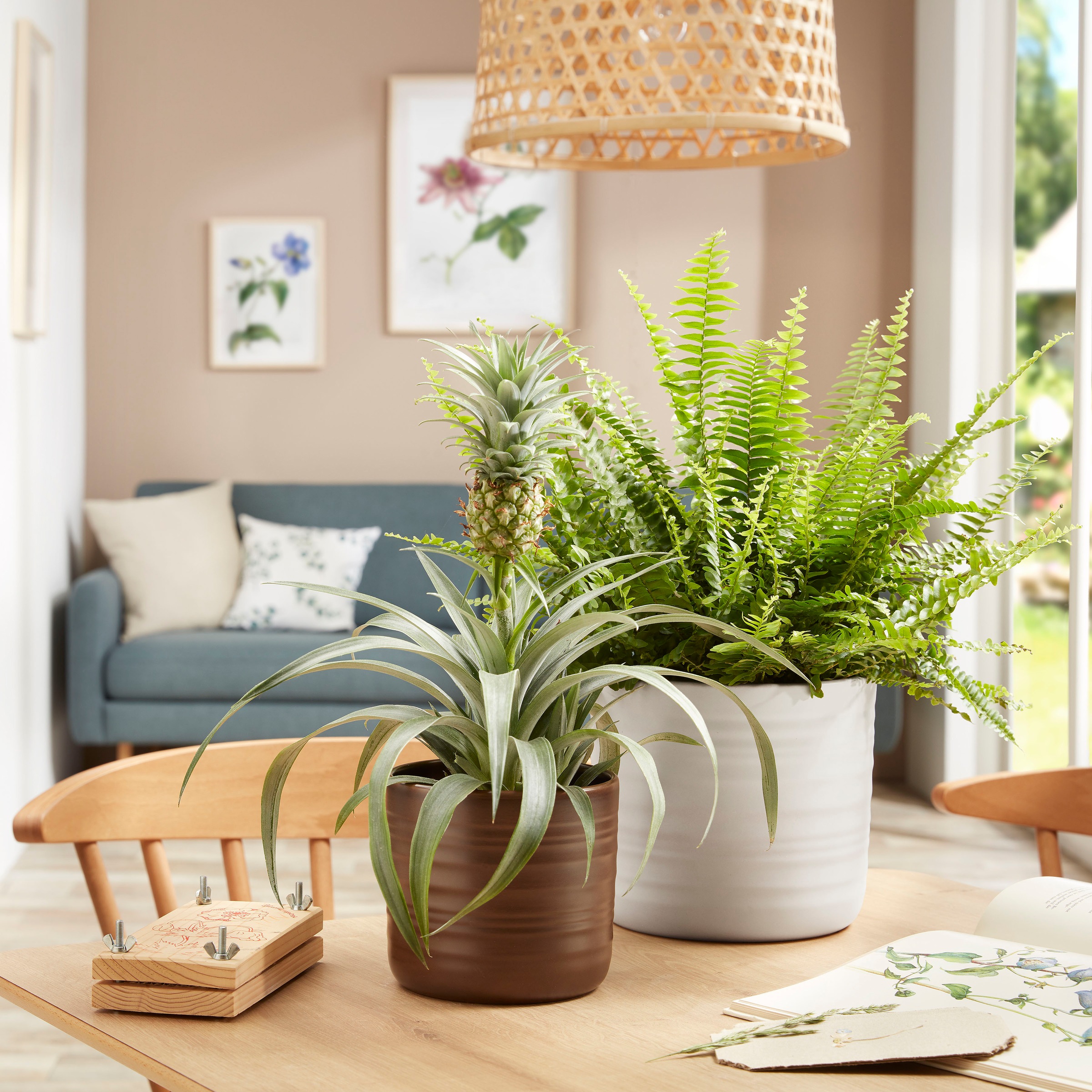 Scheurich Blumentopf »SOFT WOOL 28/850« ØxH: 28,5x26 cm