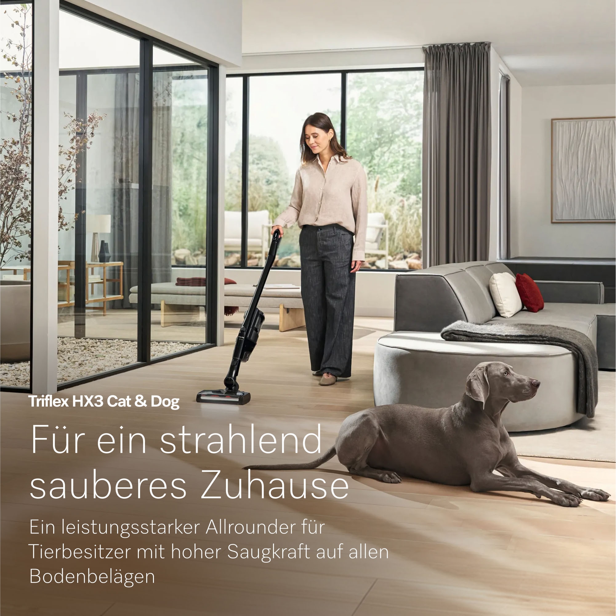 Miele Akku-Stielstaubsauger »Triflex HX3 Cat & Dog«