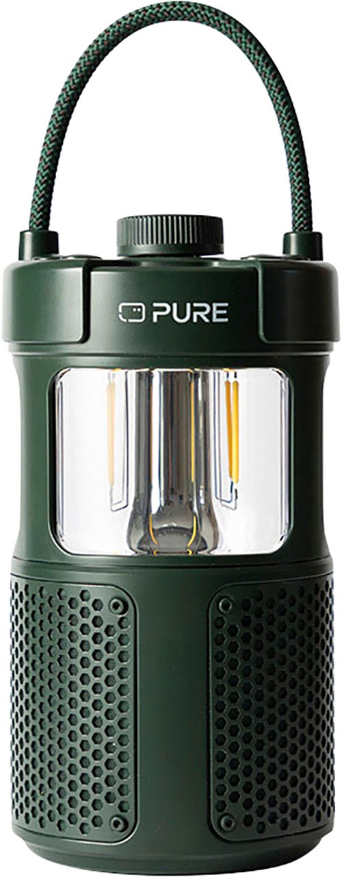 Pure Portable-Lautsprecher »Woodland Glow«