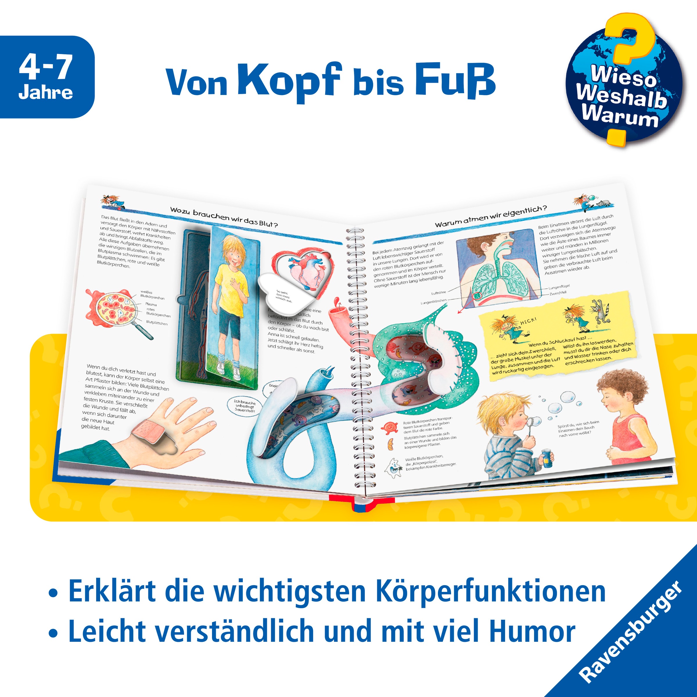 Ravensburger Kinderbuch »Wieso? Weshalb? Warum?, Band 1 Wir entdecken unseren Körper«