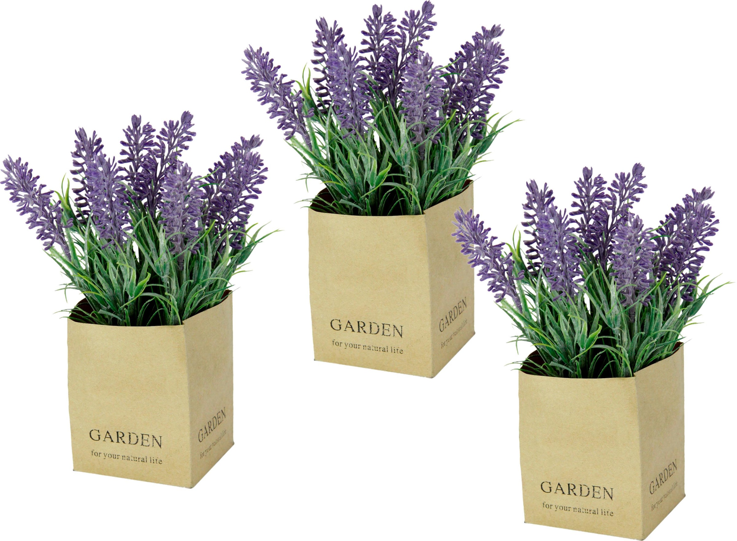 Im Kunstpflanze I.GE.A. kaufen Keramiktopf online »Lavendel«,