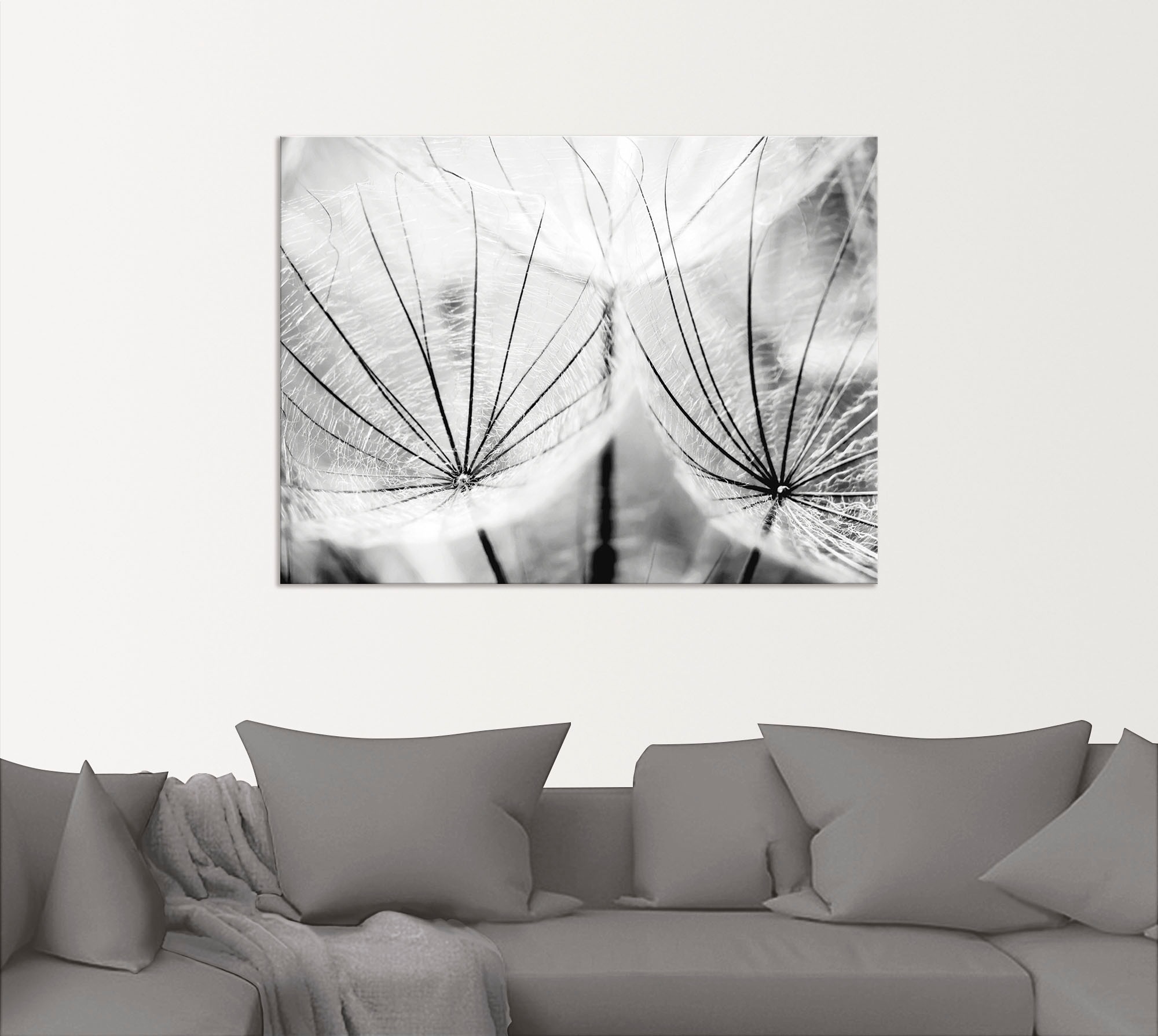 Artland Wandbild "Pusteblume in schwarzweiß", Blumen, (1 St.), als Alubild, günstig online kaufen