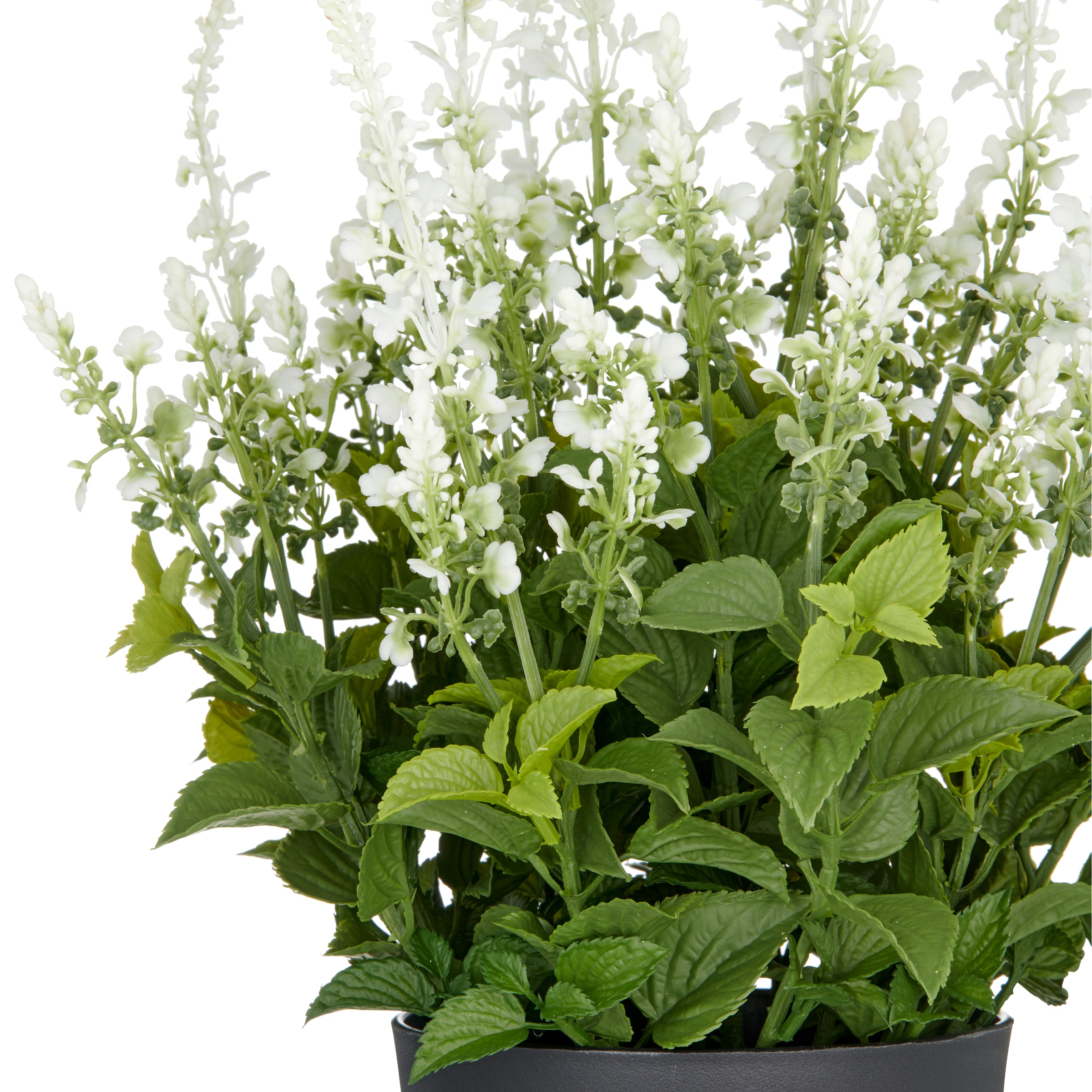 Creativ green Kunstpflanze »Salvia superba« in UV-beständiger Ausführung