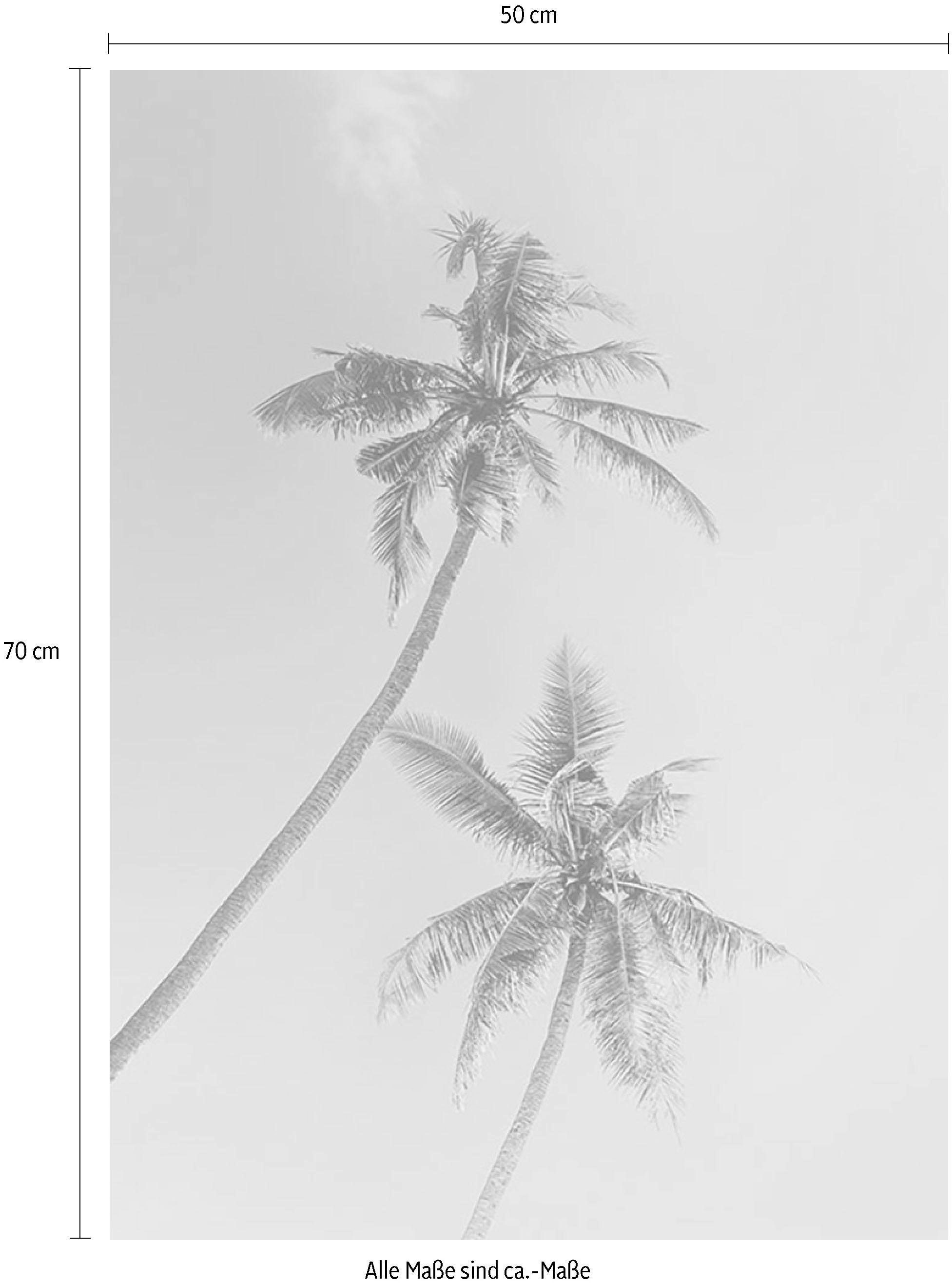 Komar Bild »Miami Palms«, Pflanzen-Blätter, (1 St.), Wandbild zur Dekoration - ohne Rahmen
