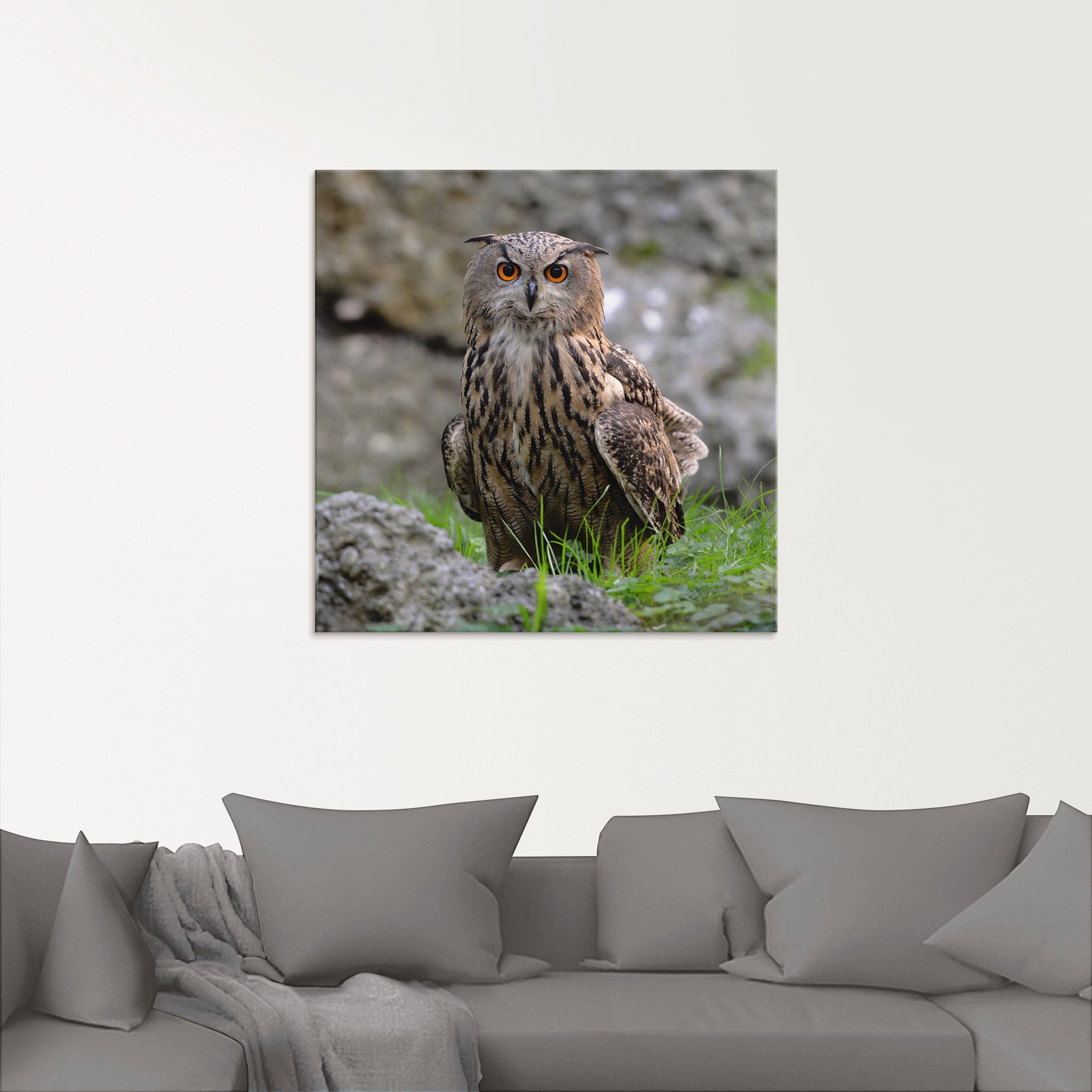 Artland Glasbild »Uhu« Vögel 1 Stk. tlg. in verschiedenen Größen günstig online kaufen
