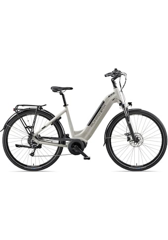 E-Bike »MC 800«, 8 Gang, Shimano, Acera, Mittelmotor 250 W