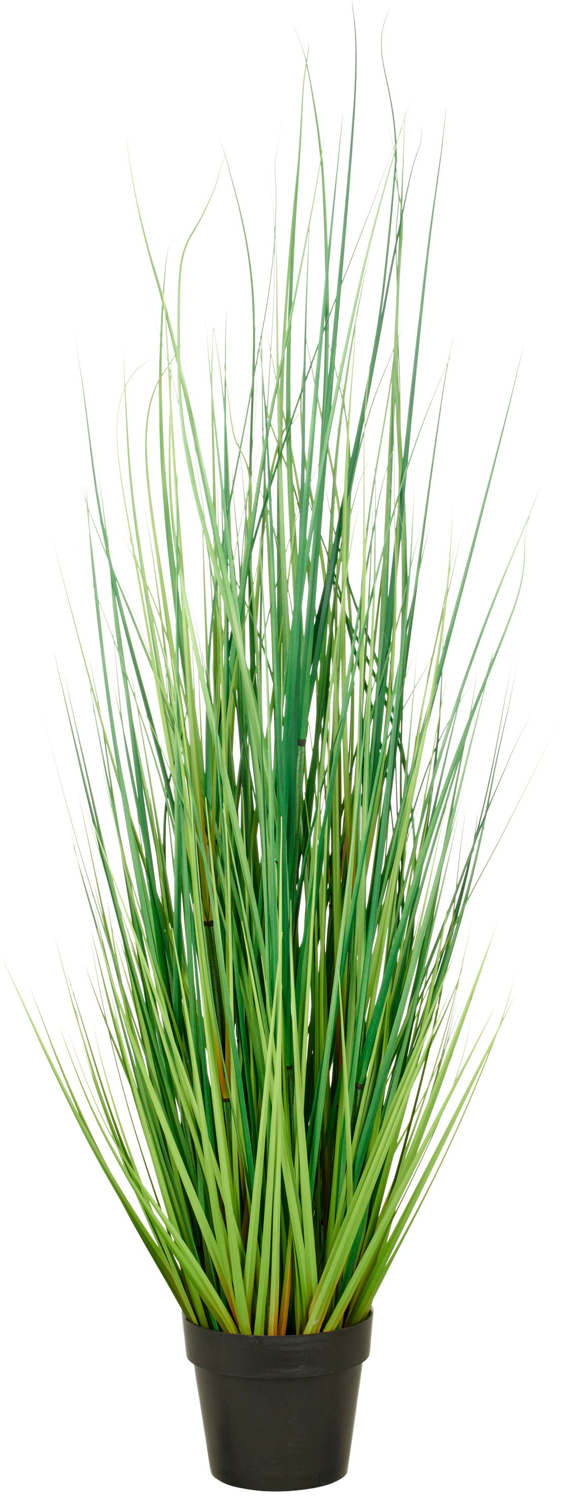 Creativ green Kunstgras »Grasbusch Miscanthus«, mit naturgetreuen Grashalme günstig online kaufen