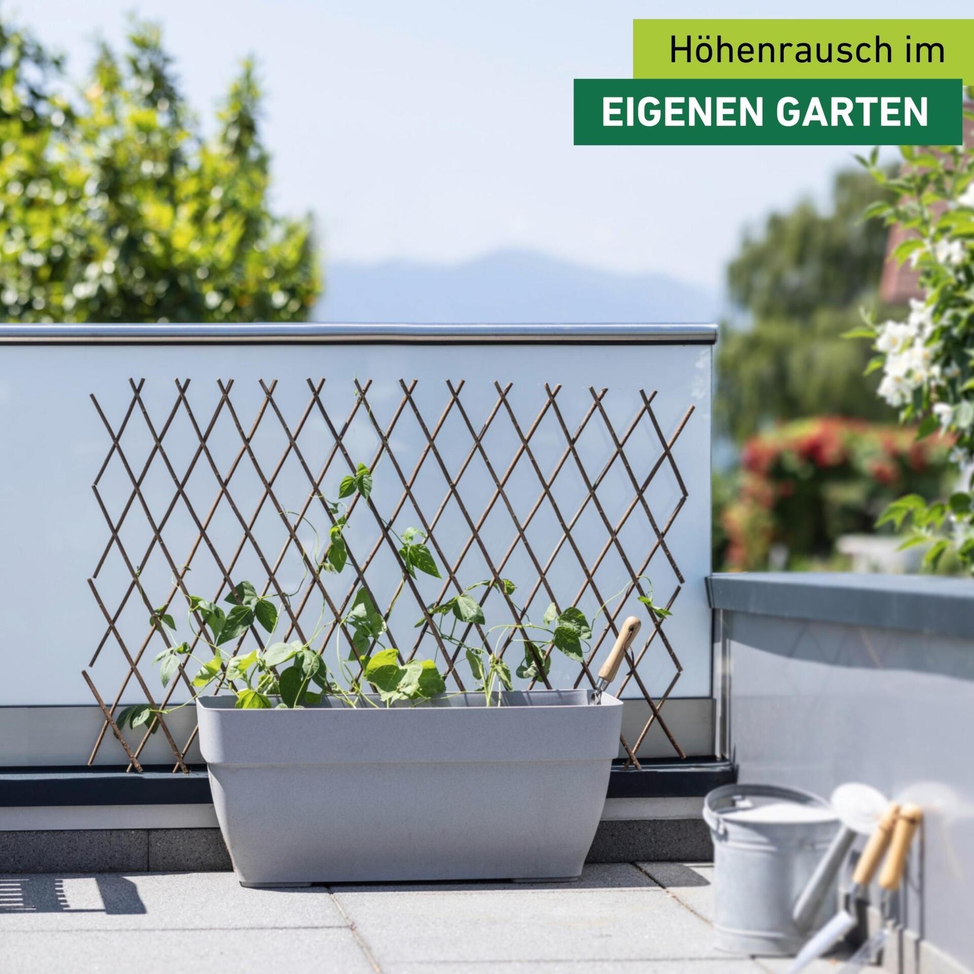 Windhager Rankgitter »Weide-Spalier ideal für Balkon, Terrasse oder Garten ausziehbar« Kletterhilfe für Pflanzen, erhältlich in 60 x 120 cm oder 120 x 180 cm