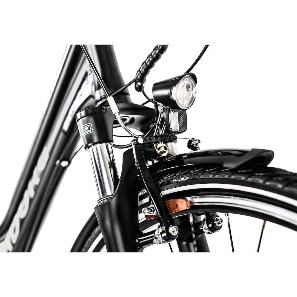Adore E-Bike »Partnerset Marseille«, 24 Gang, Shimano, Altus, Heckmotor 250 W, (Spar-Set, 2 tlg.)