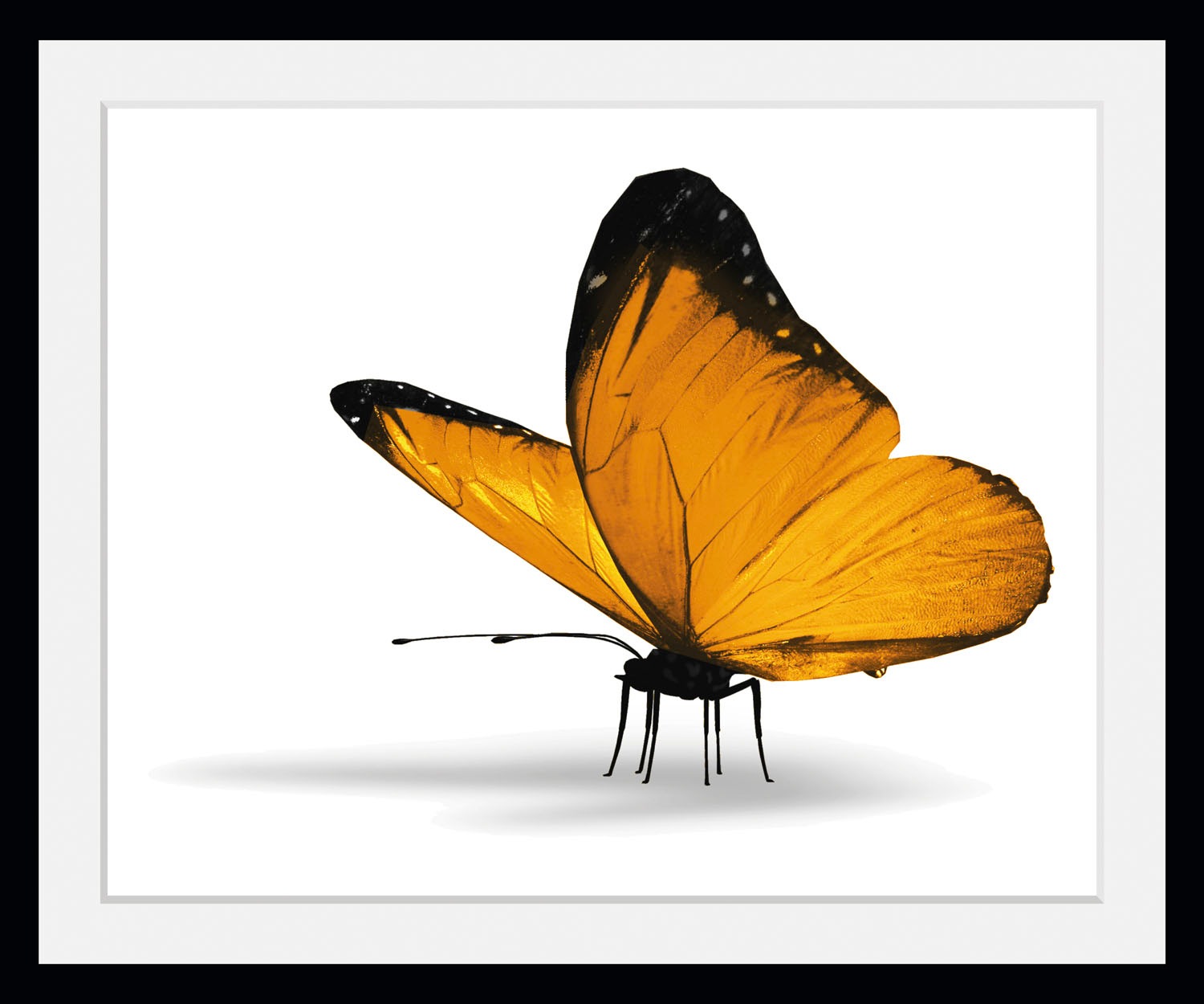 queence Bild »Maria 1.0«, Schmetterlinge-Kunst-Insekten-historische Ereigni günstig online kaufen