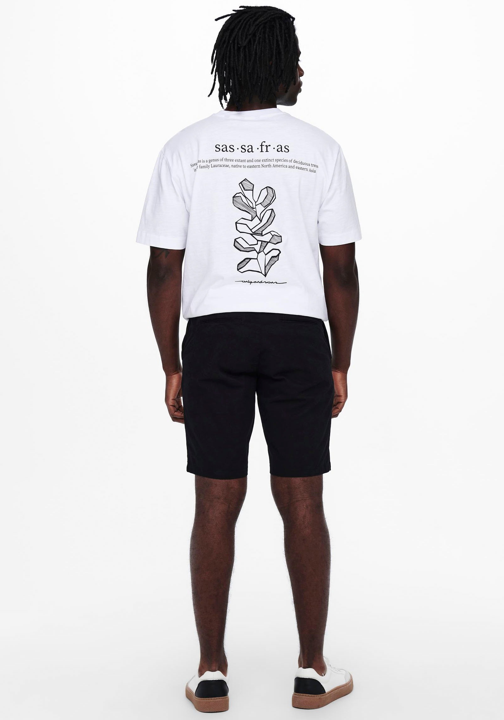 2. Bild von ONLY & SONS Chinoshorts »CAM SHORTS«