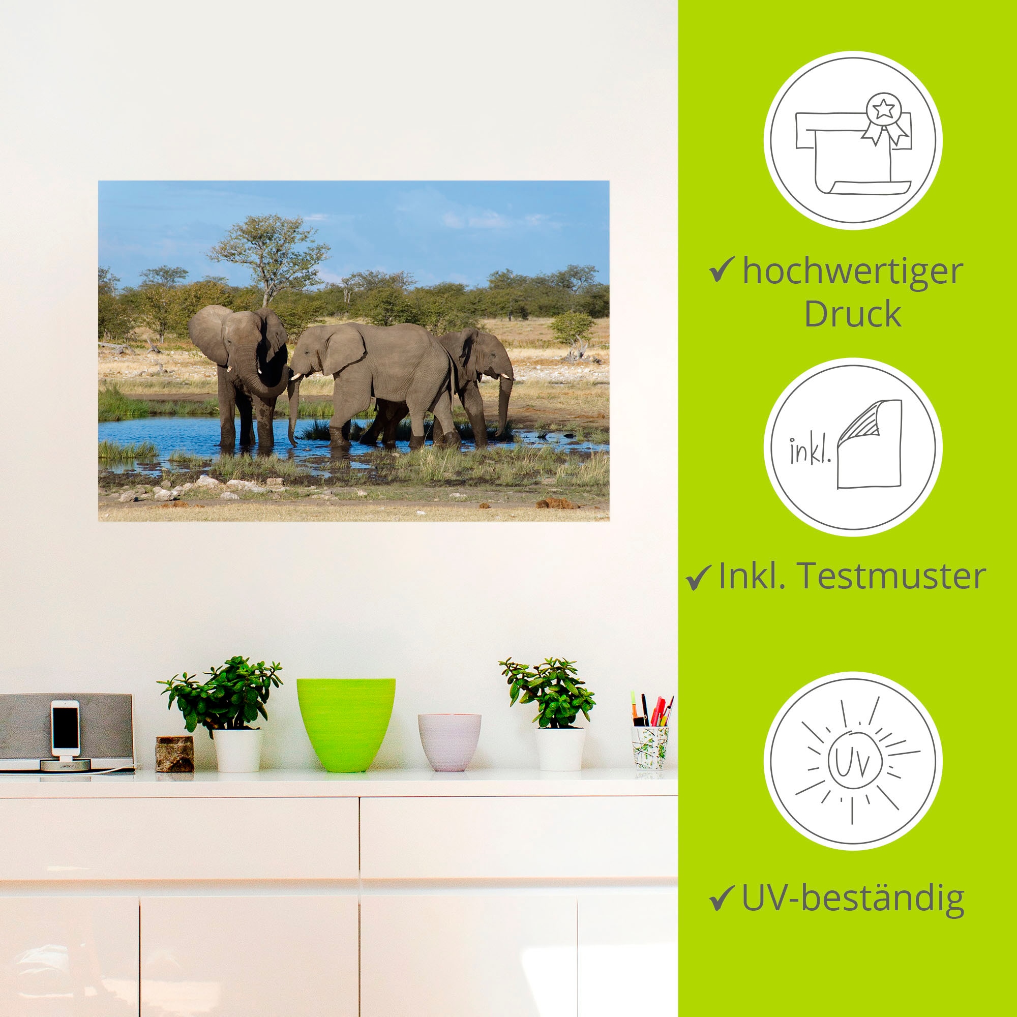 Artland Wandbild »Afrikanischer Elefant EtoshaNationalpark«, in auf Poster Elefanten St.), Bilder, Leinwandbild, bestellen Raten Größen oder versch. (1 Alubild, Wandaufkleber als
