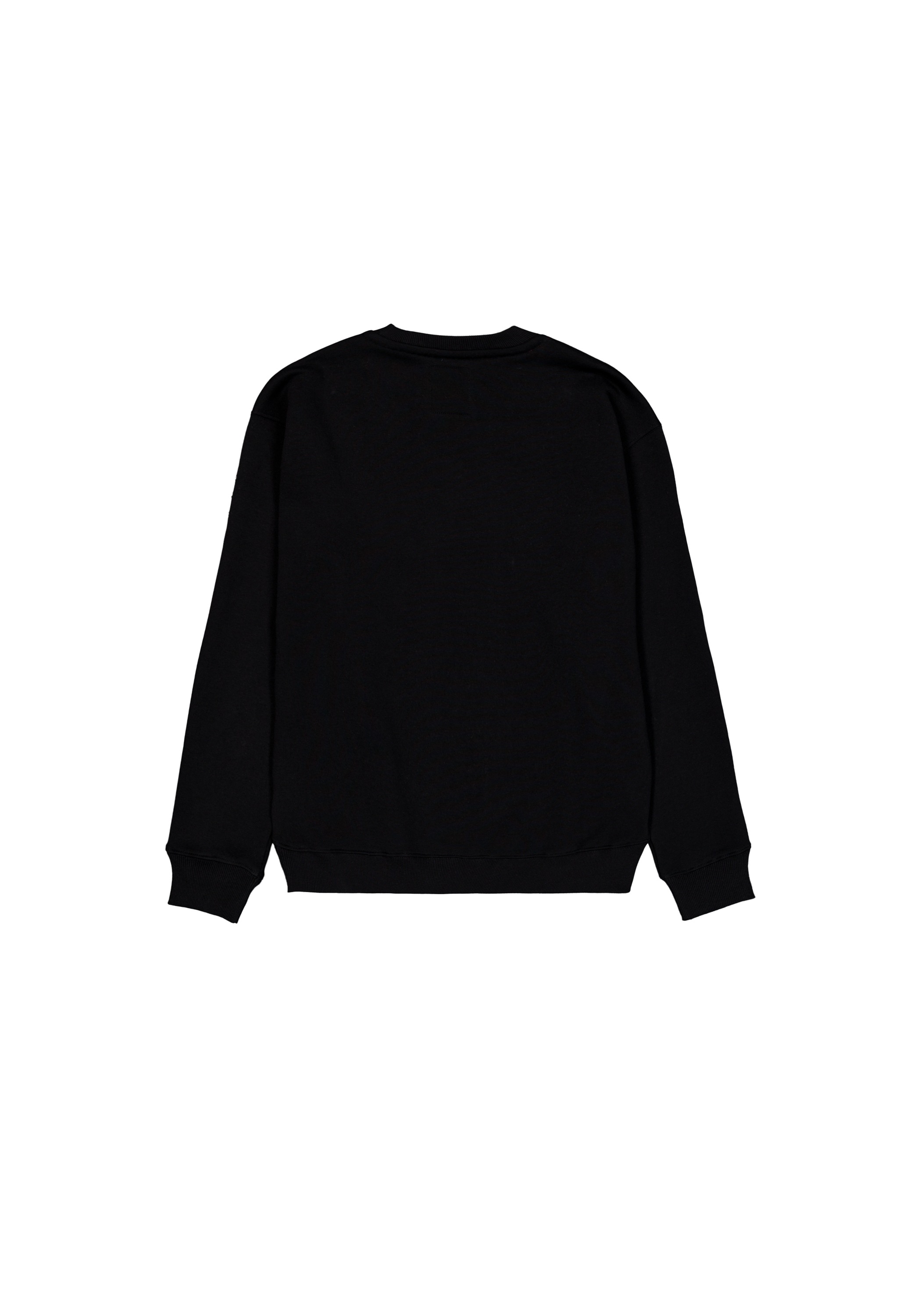 Alpha Industries Sweater »Alpha Industries Men - Sweatshirts Camo Sleeve Sweatshirt«