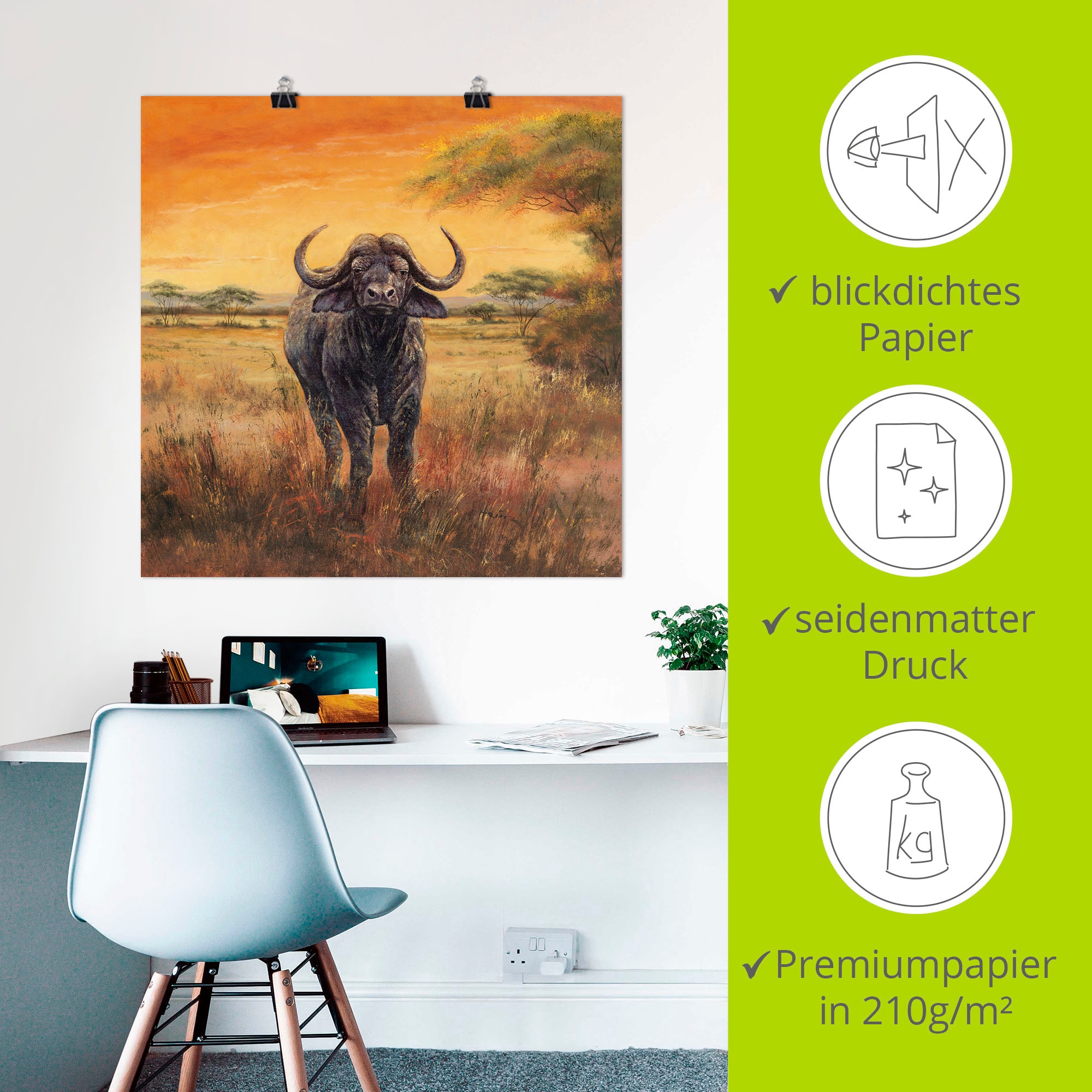 Artland Wandbild »Büffel«, Wildtiere, (1 St.), als Poster, Wandaufkleber in verschied. Größen