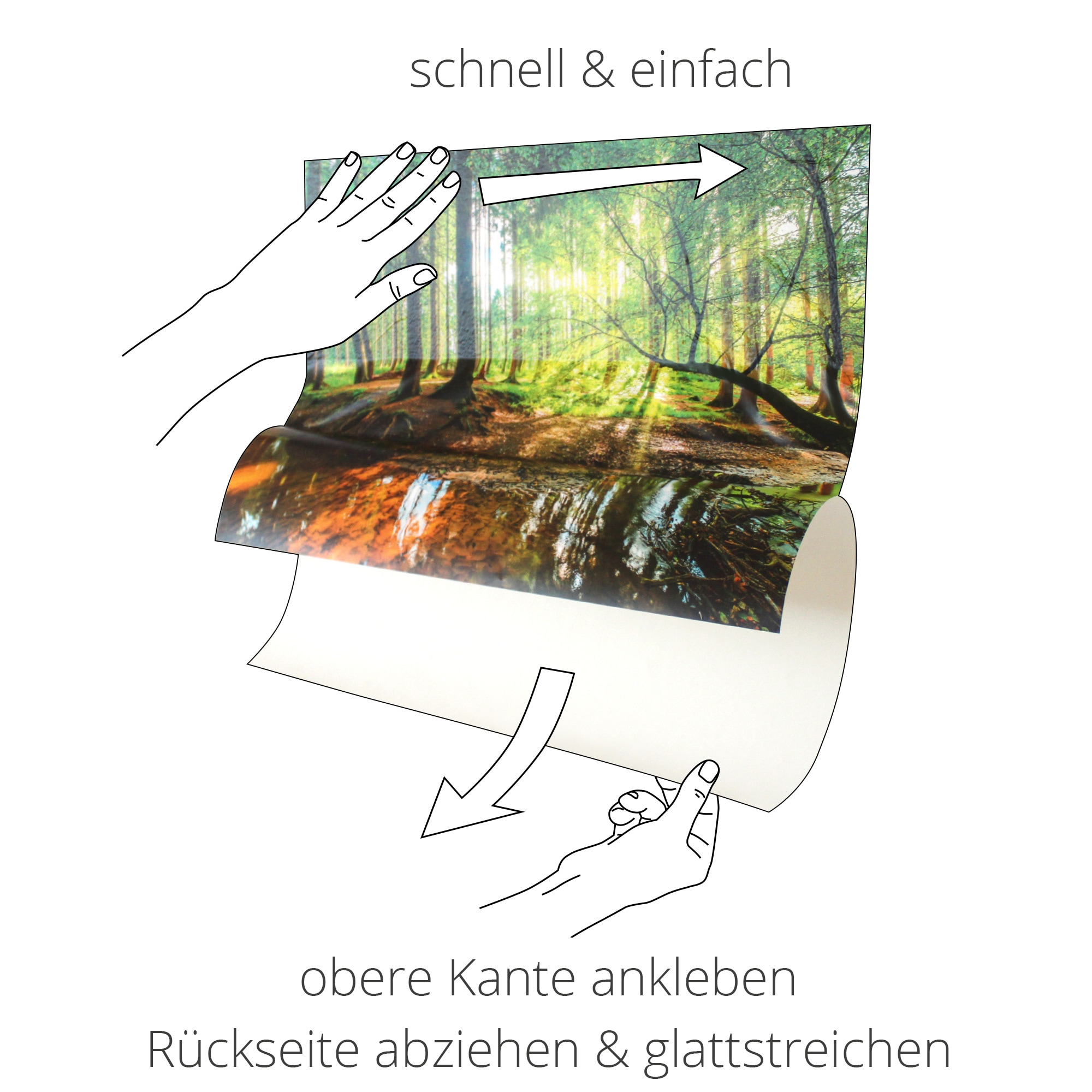 Artland Wandbild »Zebra II«, Wildtiere, Wandaufkleber (1 versch. als oder kaufen in Leinwandbild, online Poster St.), Größen