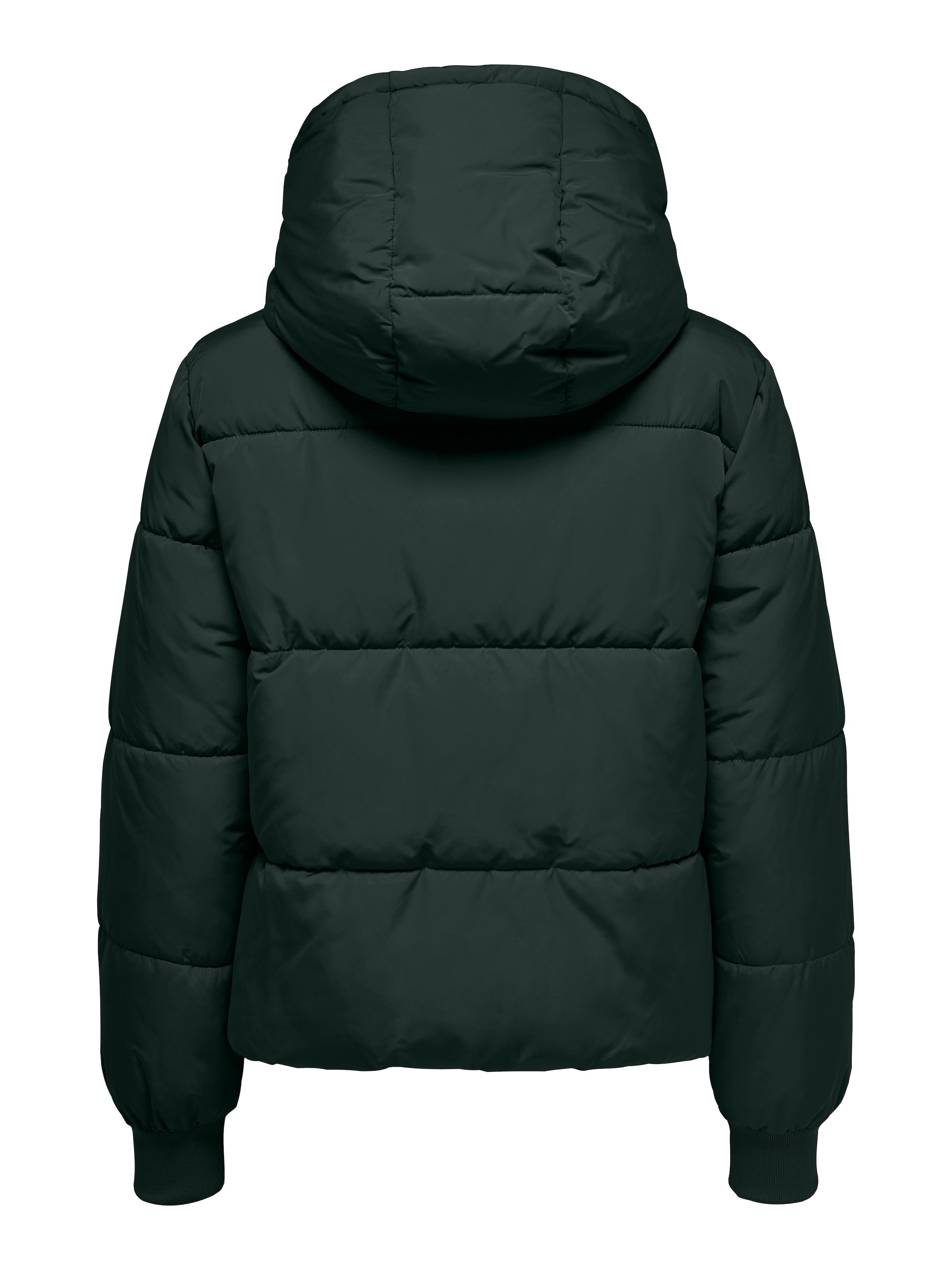 JDY Steppjacke »JDYNEWERICA LIFE SHORT HOOD JKT OTW NOOS« mit Kapuze