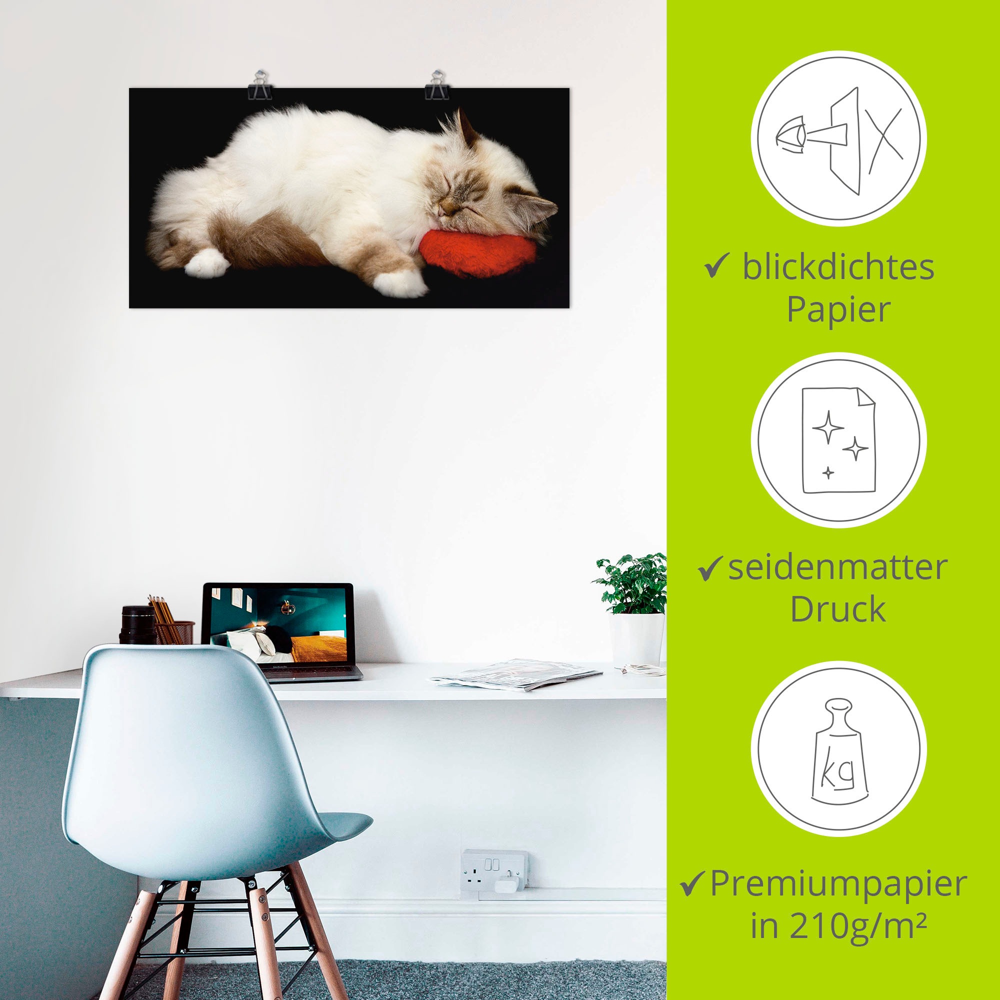 Artland Wandbild »Müde Katze«, Haustiere, (1 St.), als Leinwandbild, Poster, Wandaufkleber in verschied. Größen