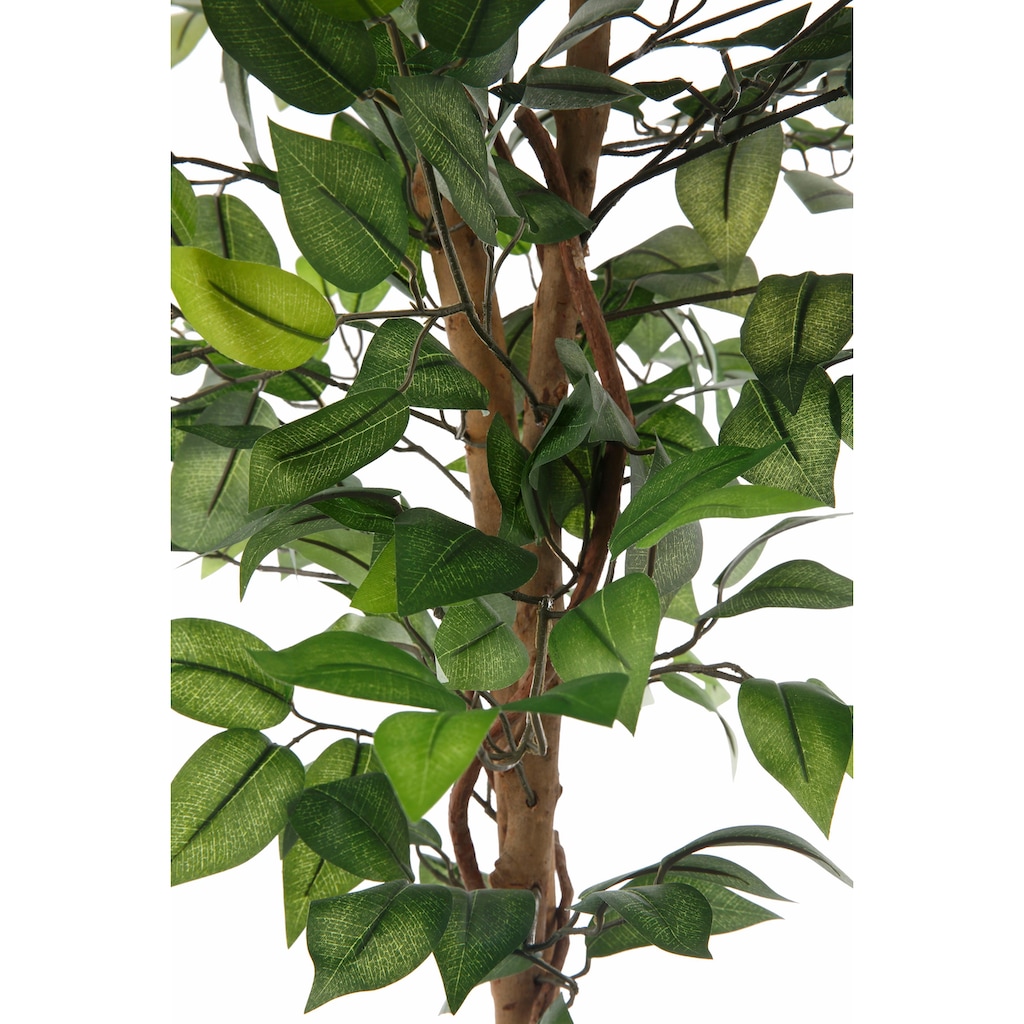 Creativ green Kunstpflanze »Ficus Benjamini«, (1 St.)