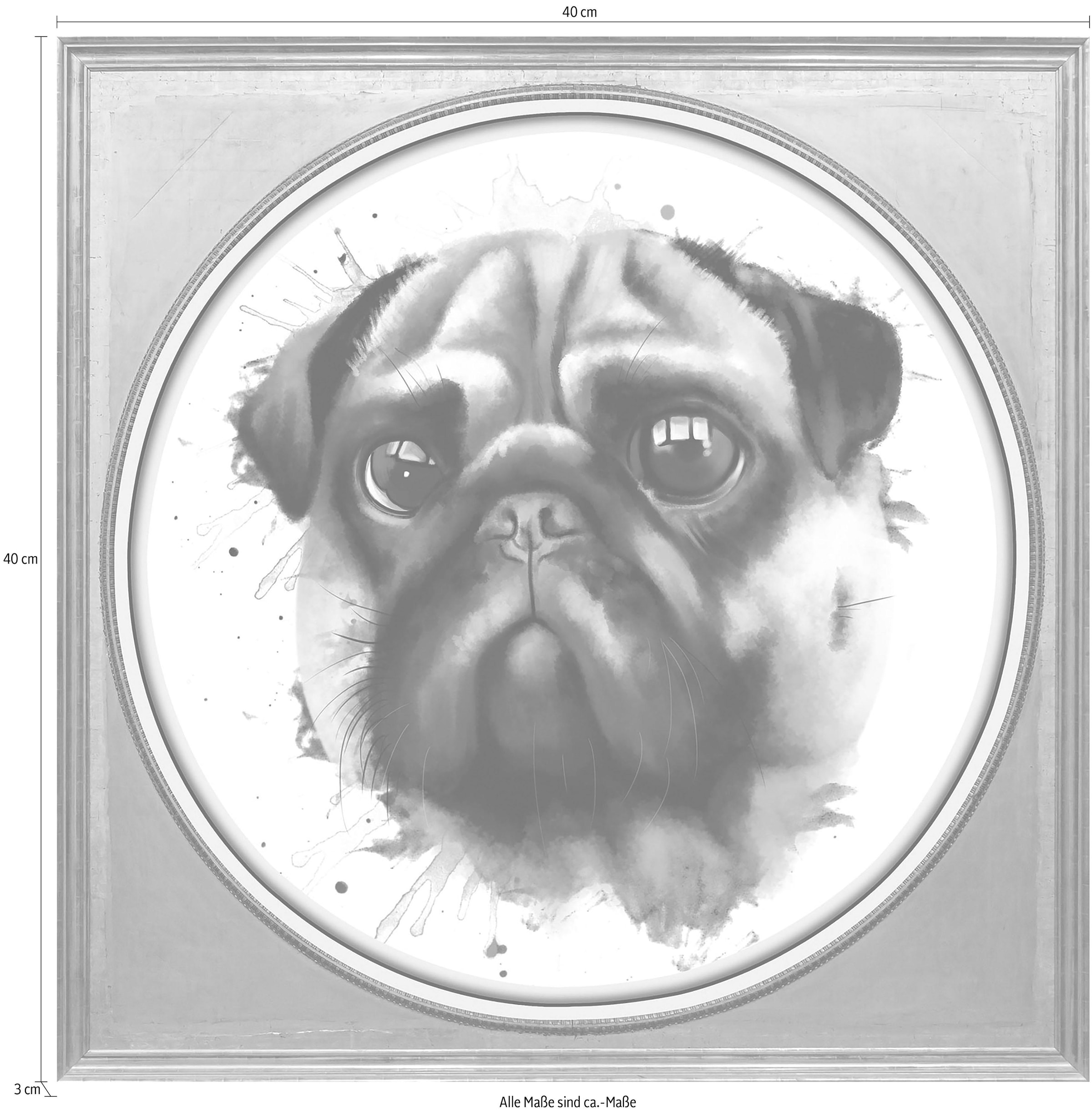 queence Acrylglasbild »Mops«, Kunst-Gemälde-Tiere-Hund-Hunde-Hundebilder-Haustiere, Fine Art-Print in Galeriequalität